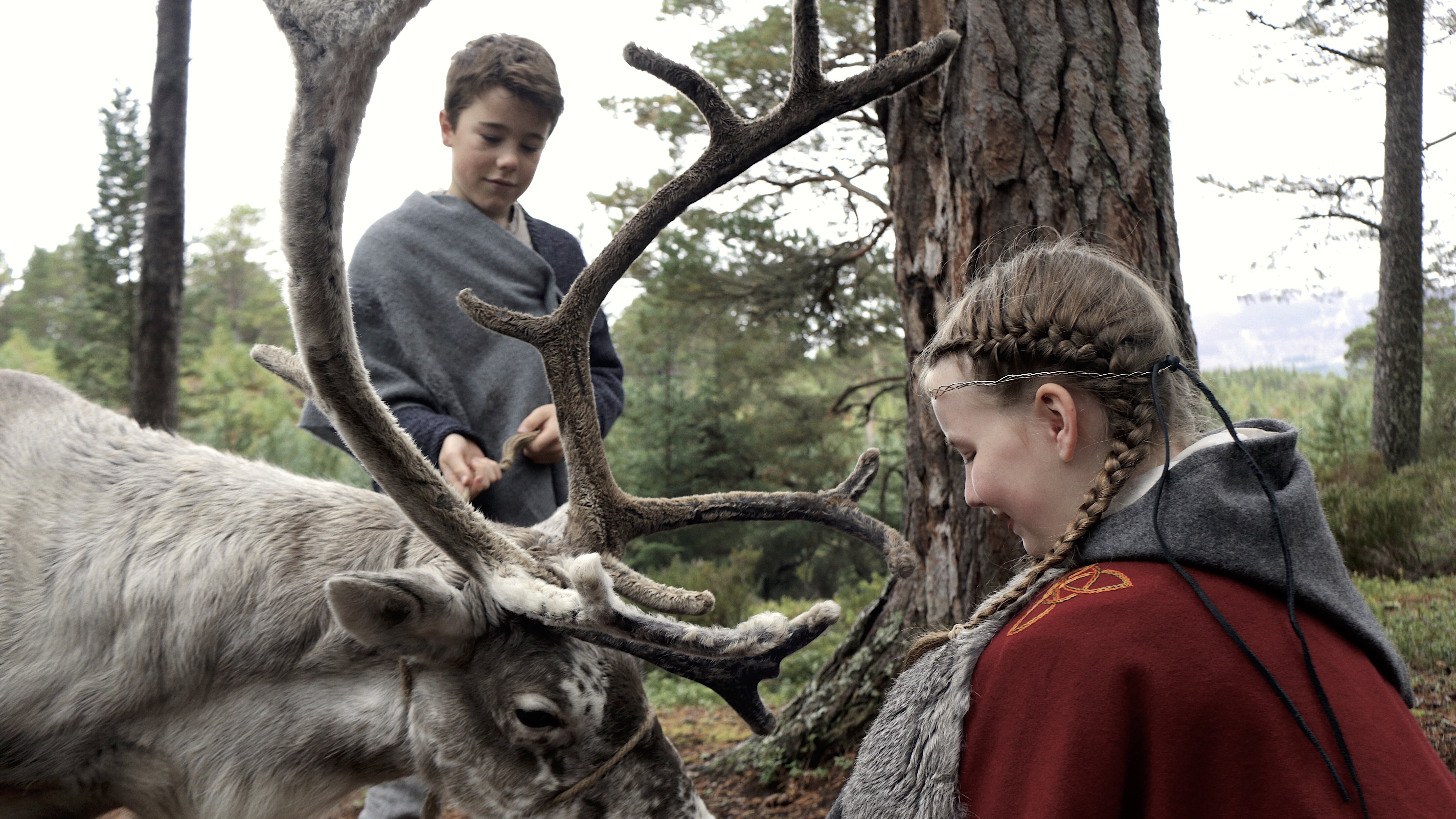 Gudrun die Wikingerprinzessin