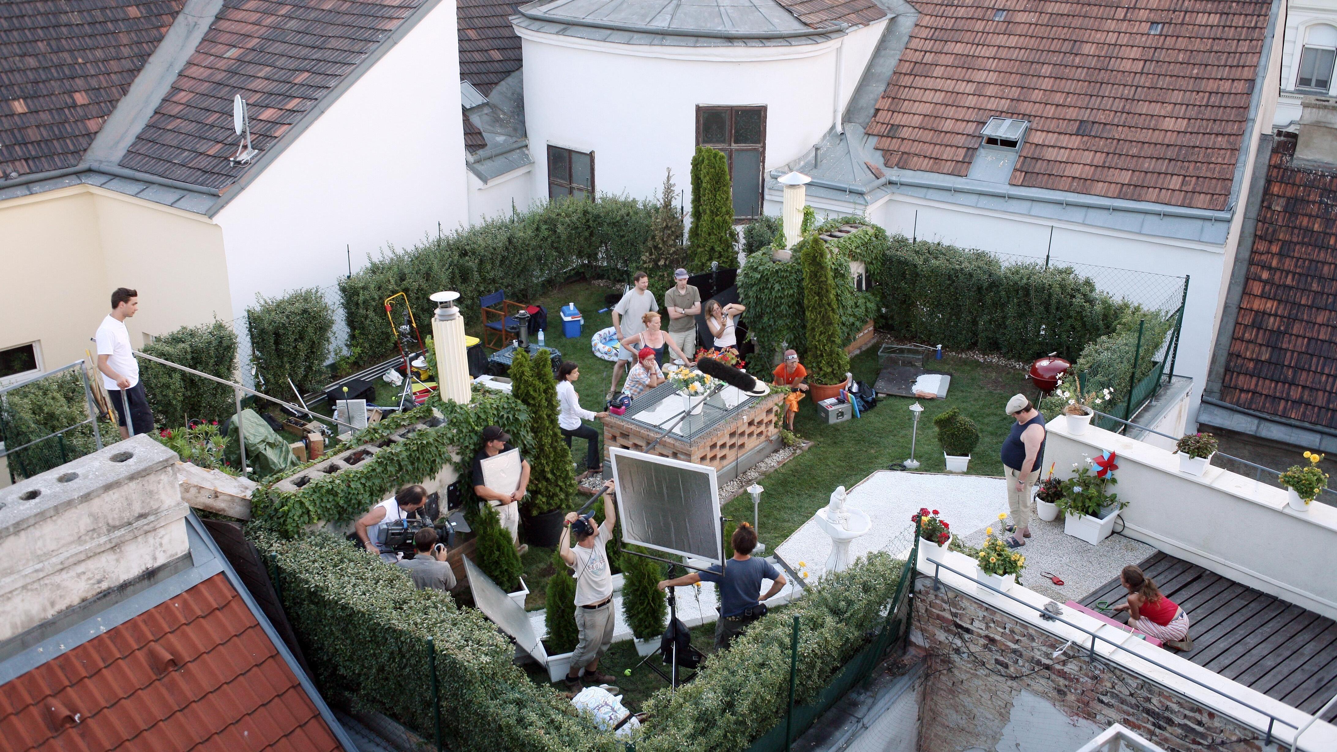 Natur im Garten – Die Katze auf dem heißen Dach