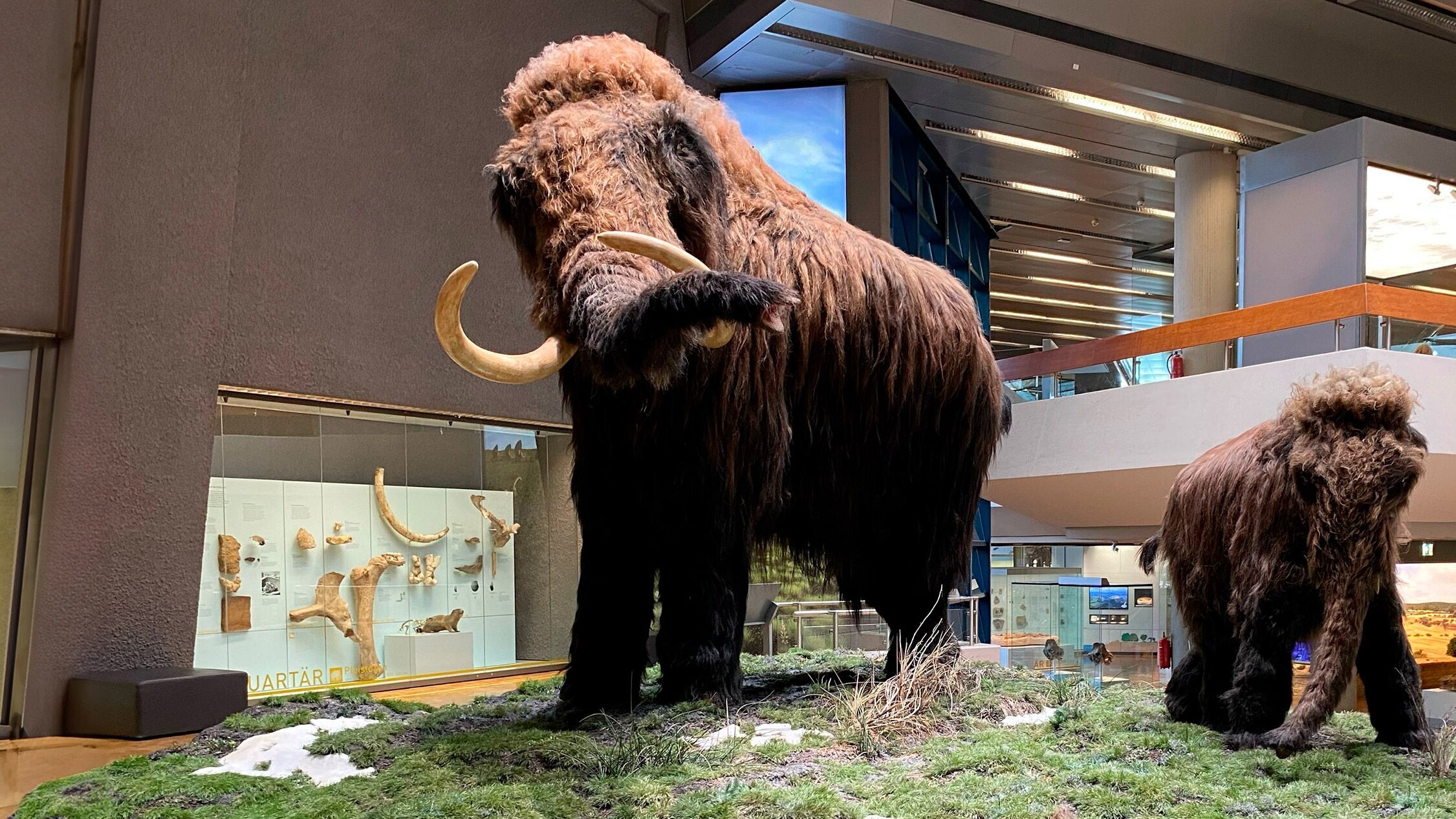 Ein Mammut-Projekt