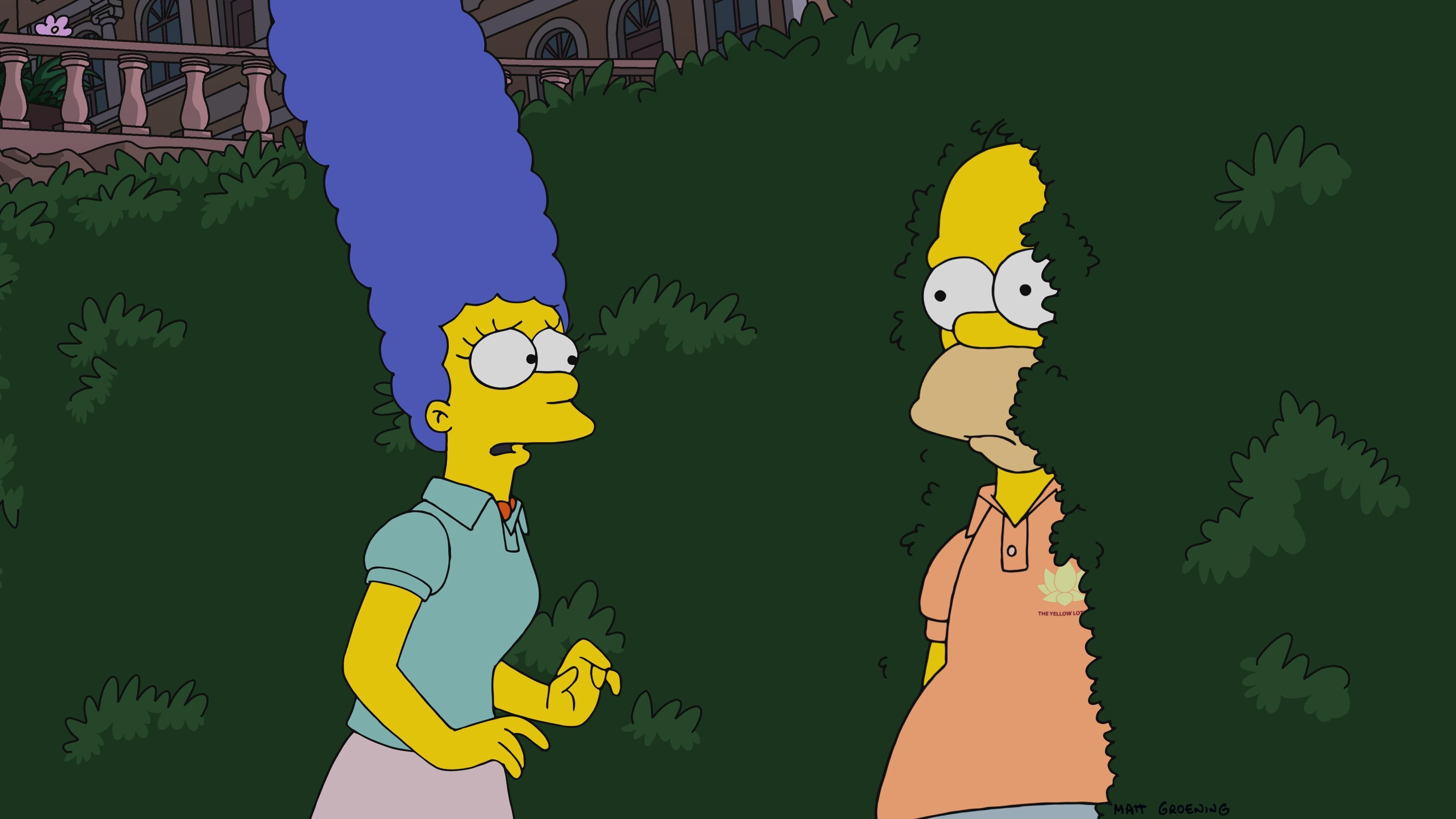 Die Simpsons