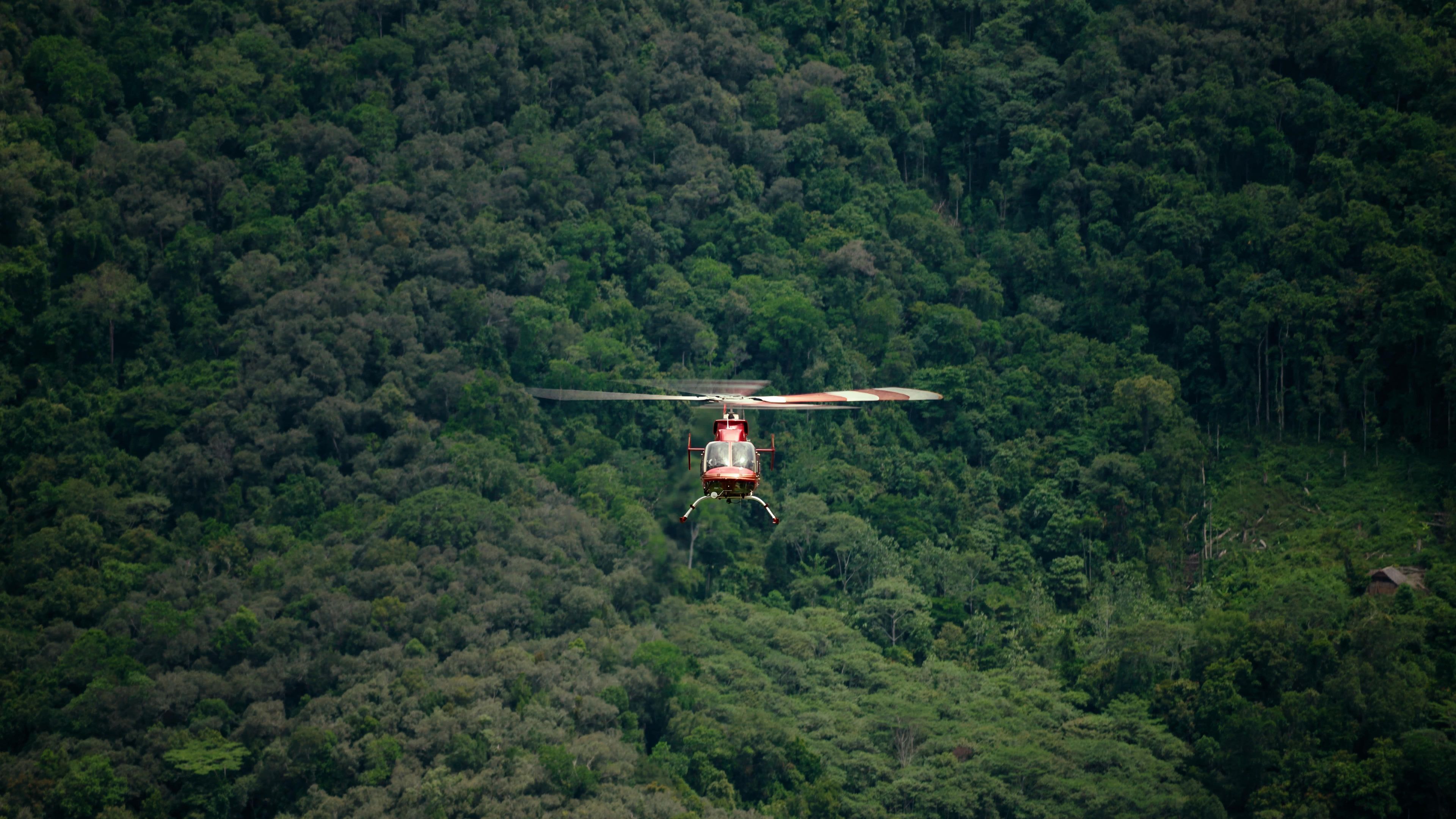 Der tasmanische Tiger: Die Legende lebt