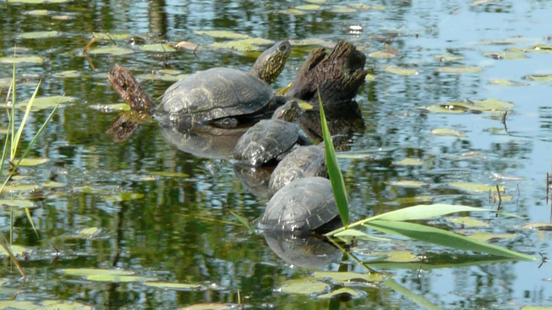 Naturerlebnis Franken