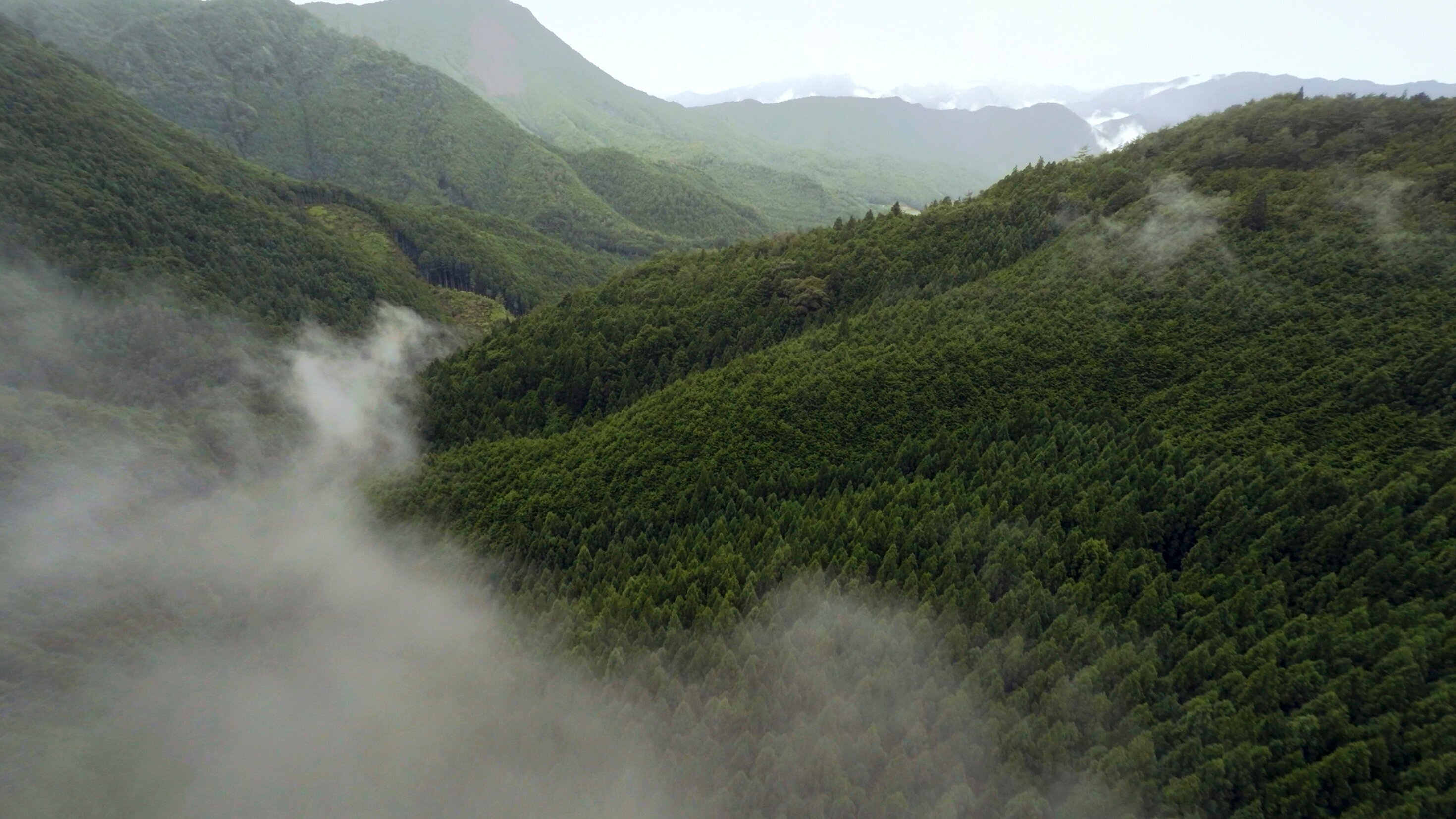 Der Weg der Weisheit – Auf Pilgerpfaden durch Japan
