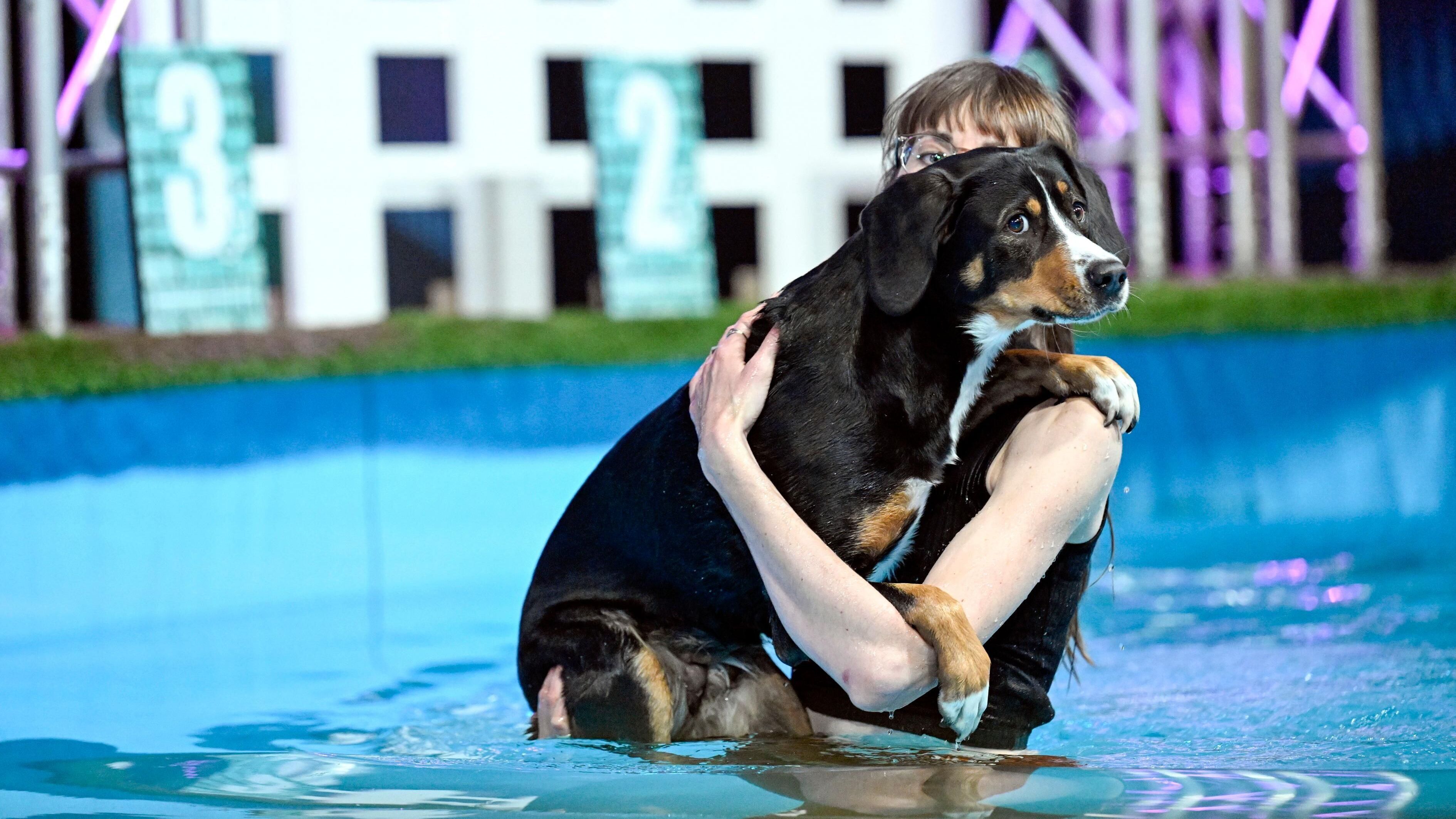 Top Dog Germany – Der beste Hund Deutschlands
