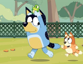 Bluey