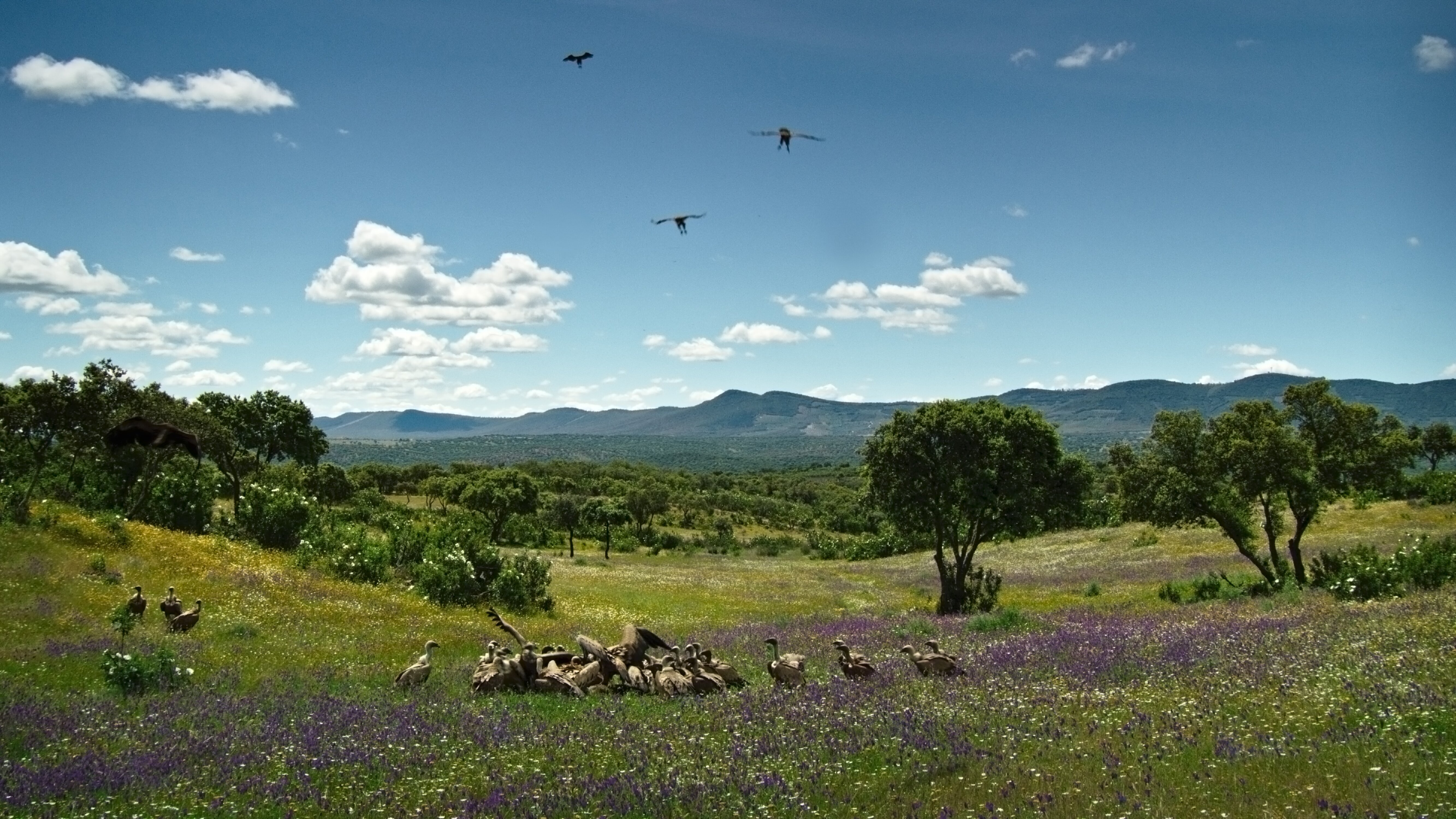 Portugal – Europas wilder Westen