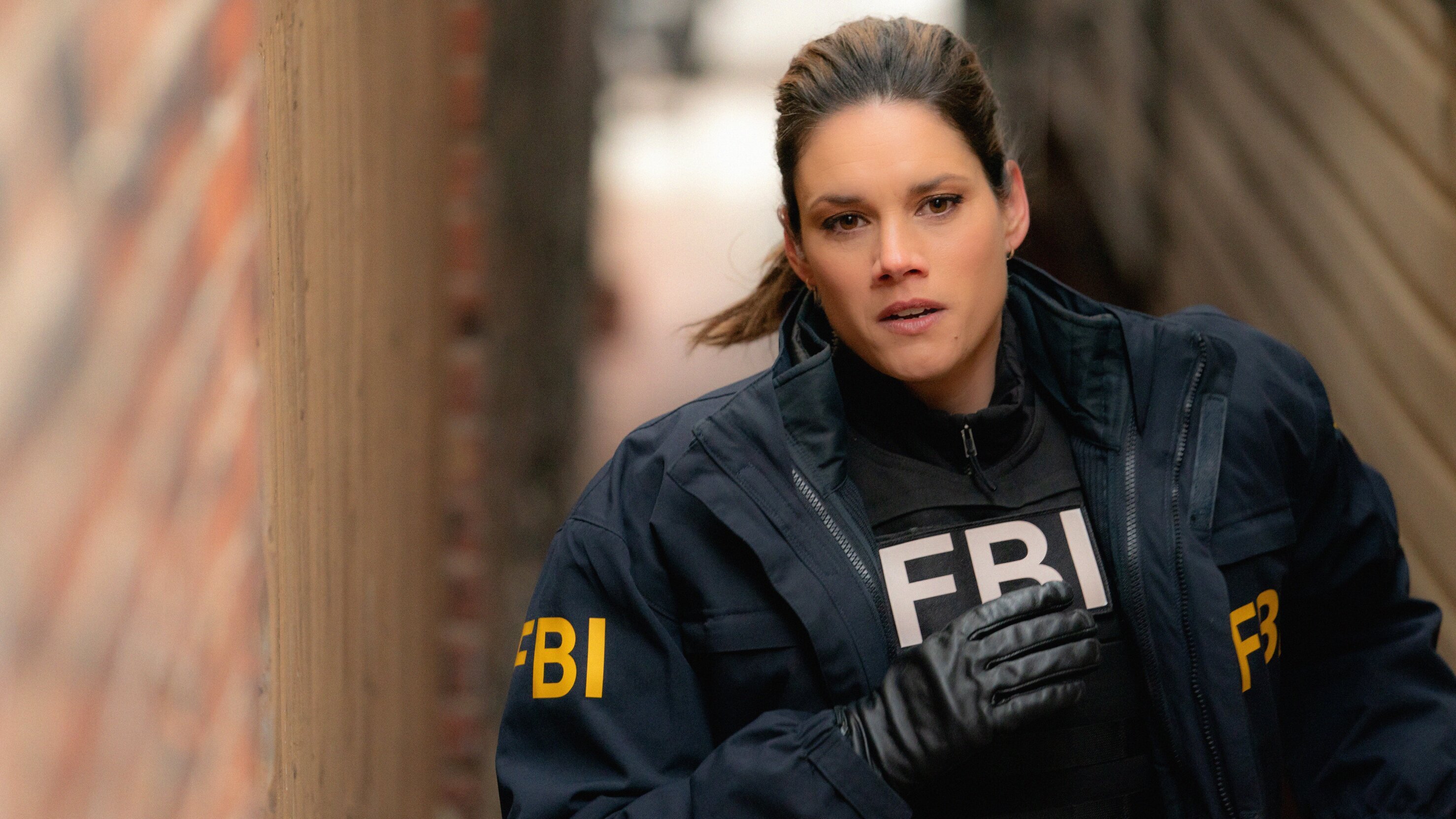 FBI: Special Crime Unit