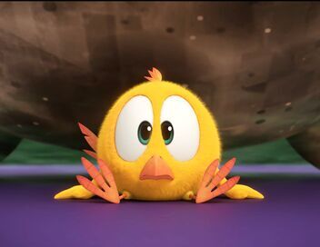 T'es oú Chicky ?