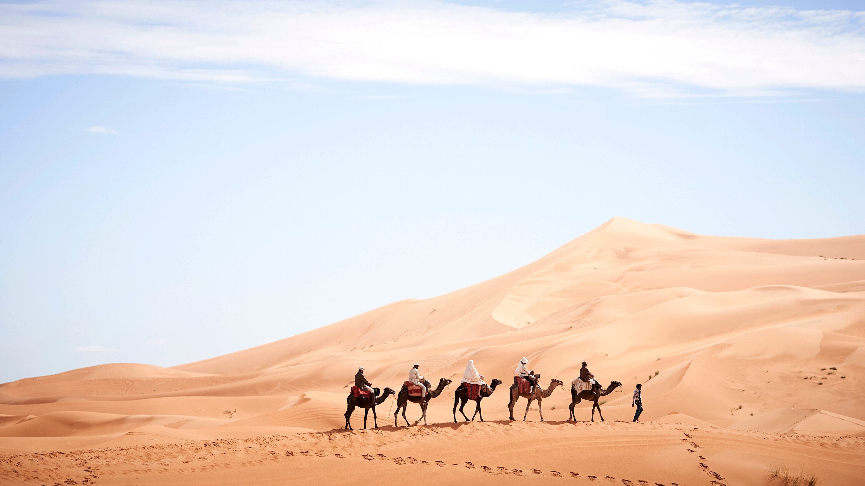 Miss Fisher und die Gruft der Tränen