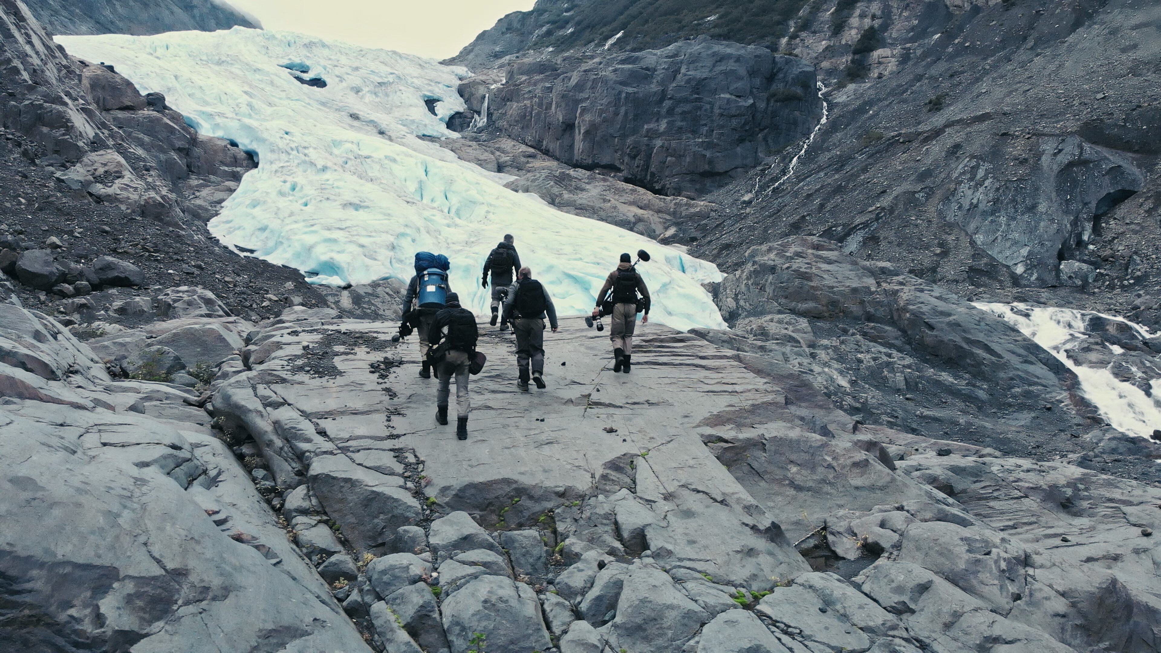 Giganten unter Wasser – Riesenfischen auf der Spur