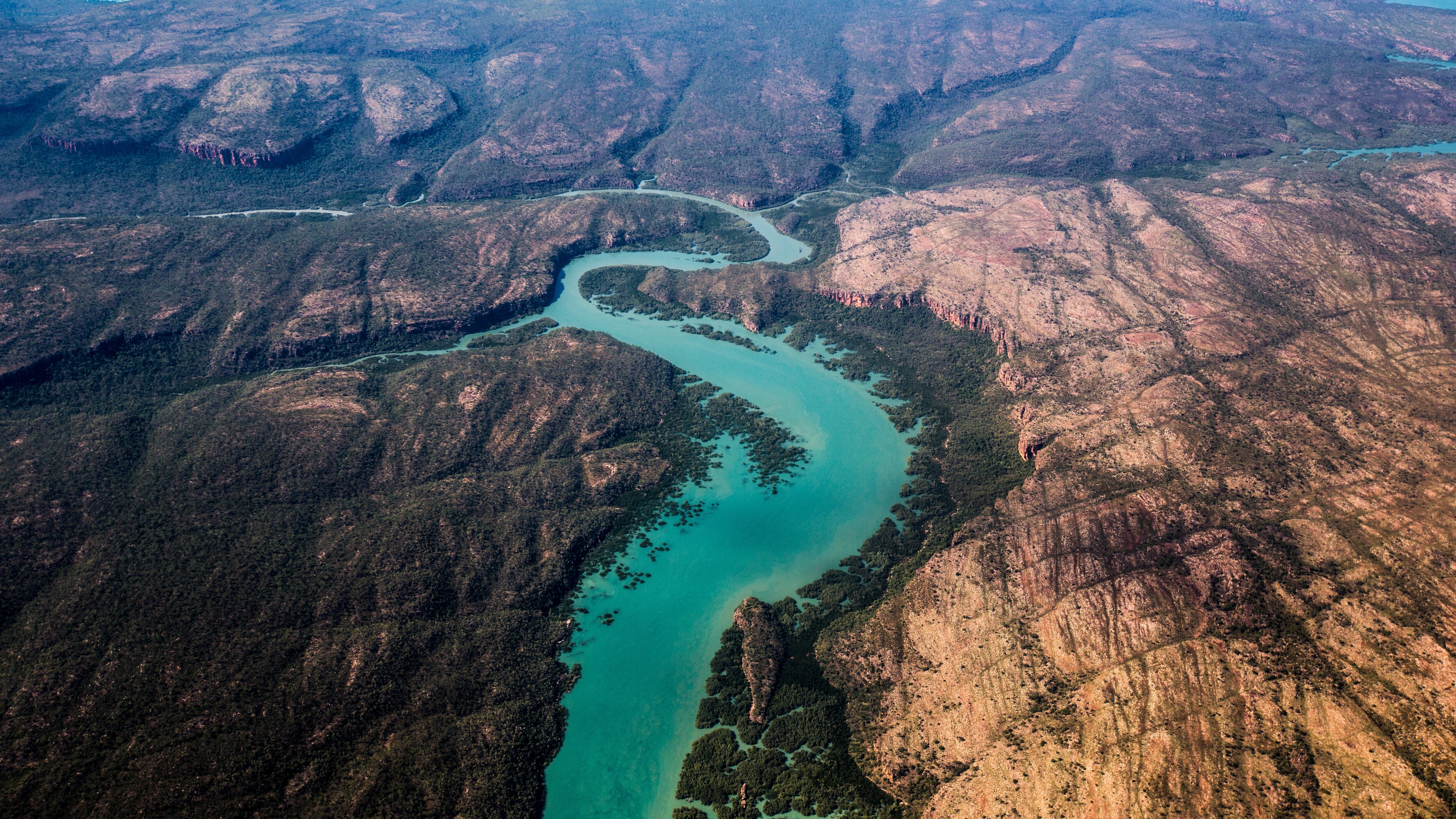 Durch das Jahr in der weltweiten Wildnis