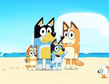 Bluey