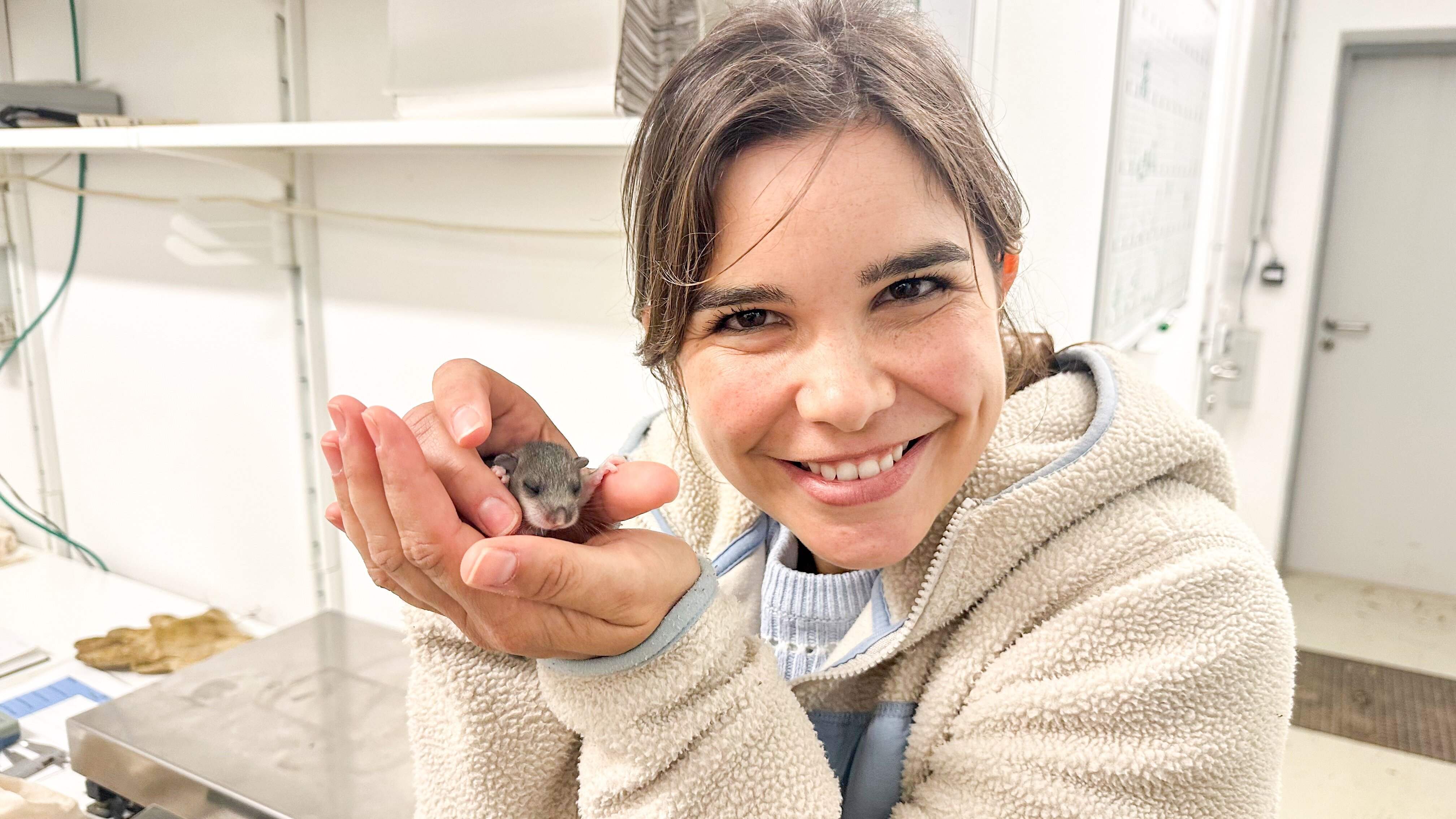 Anna und die wilden Tiere