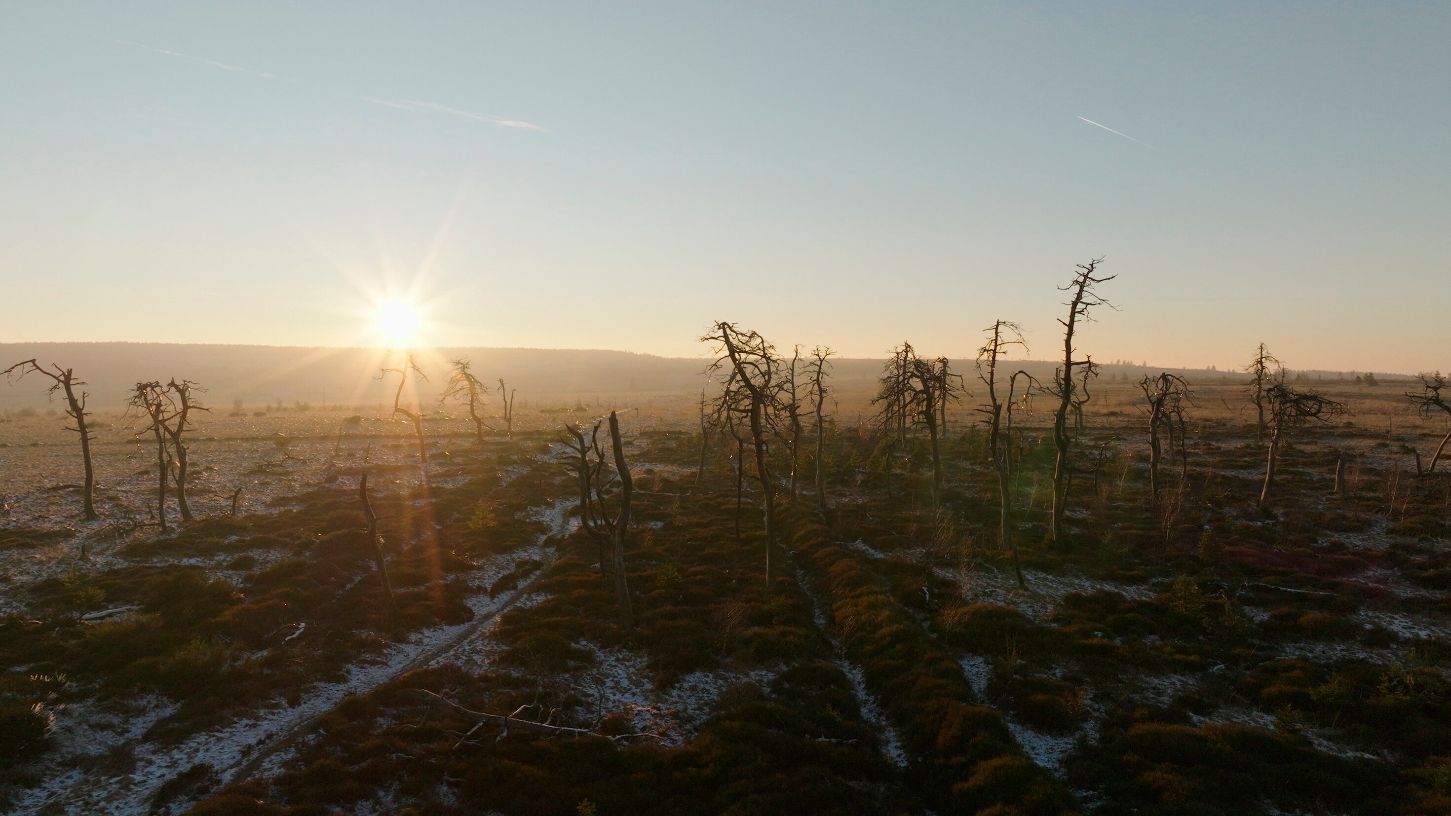 Geheimnis Hohes Venn – Das faszinierende Moor in der Eifel