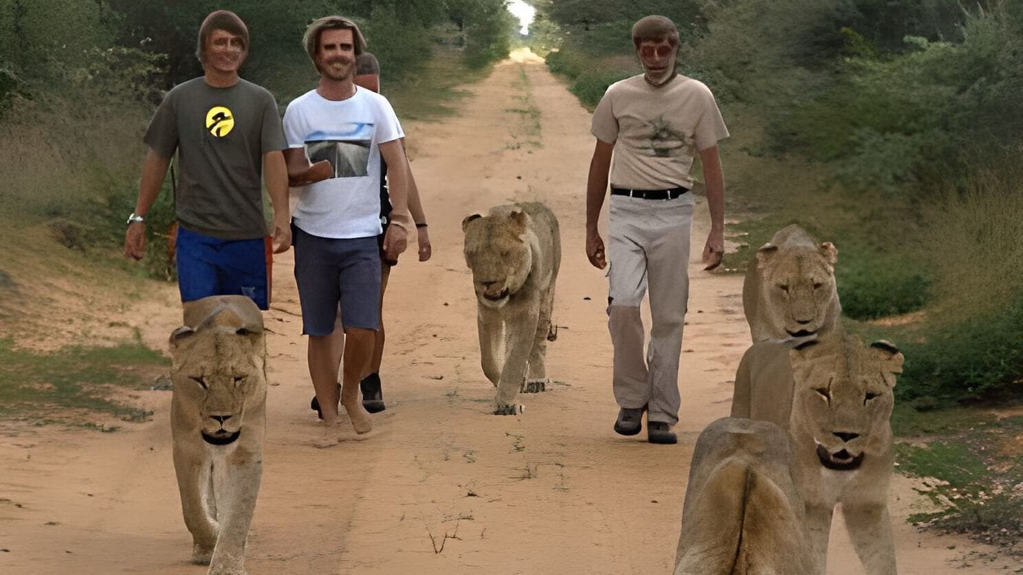 Das Waisenhaus für wilde Tiere – Abenteuer Afrika
