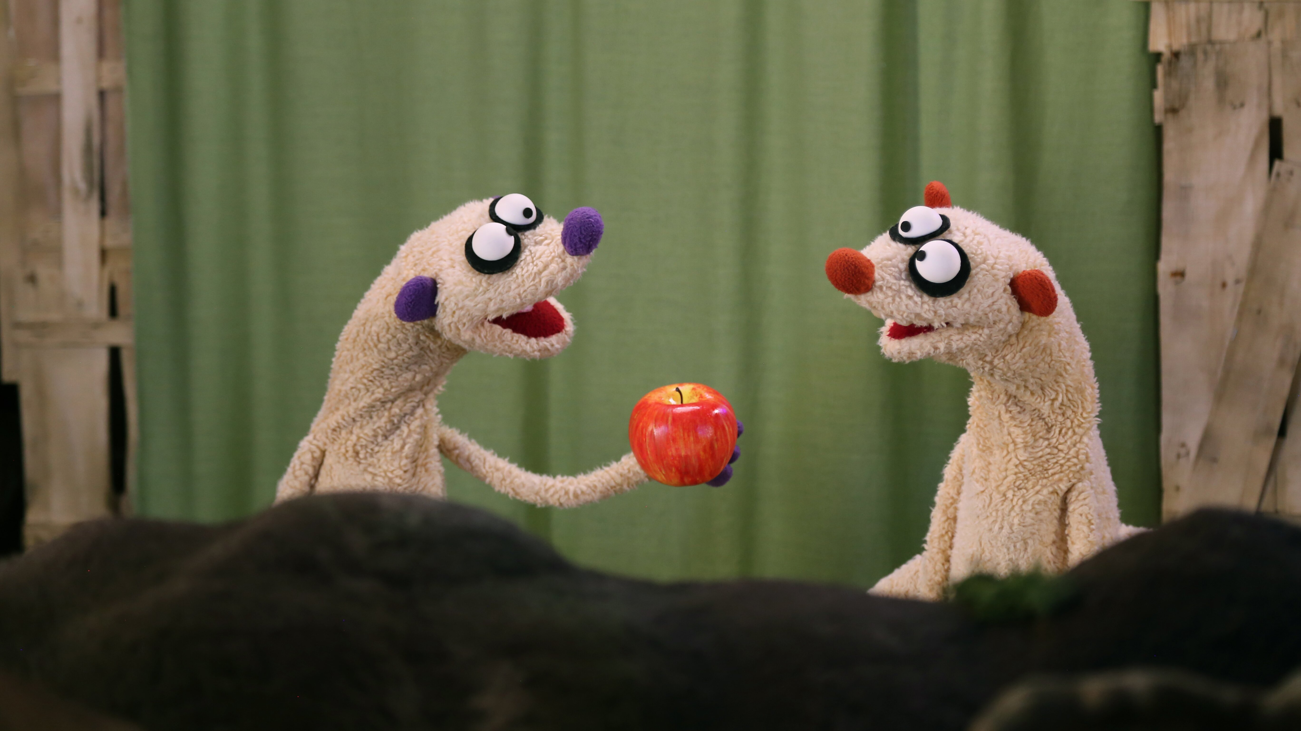 Jan & Henry – Die Fragenforscher