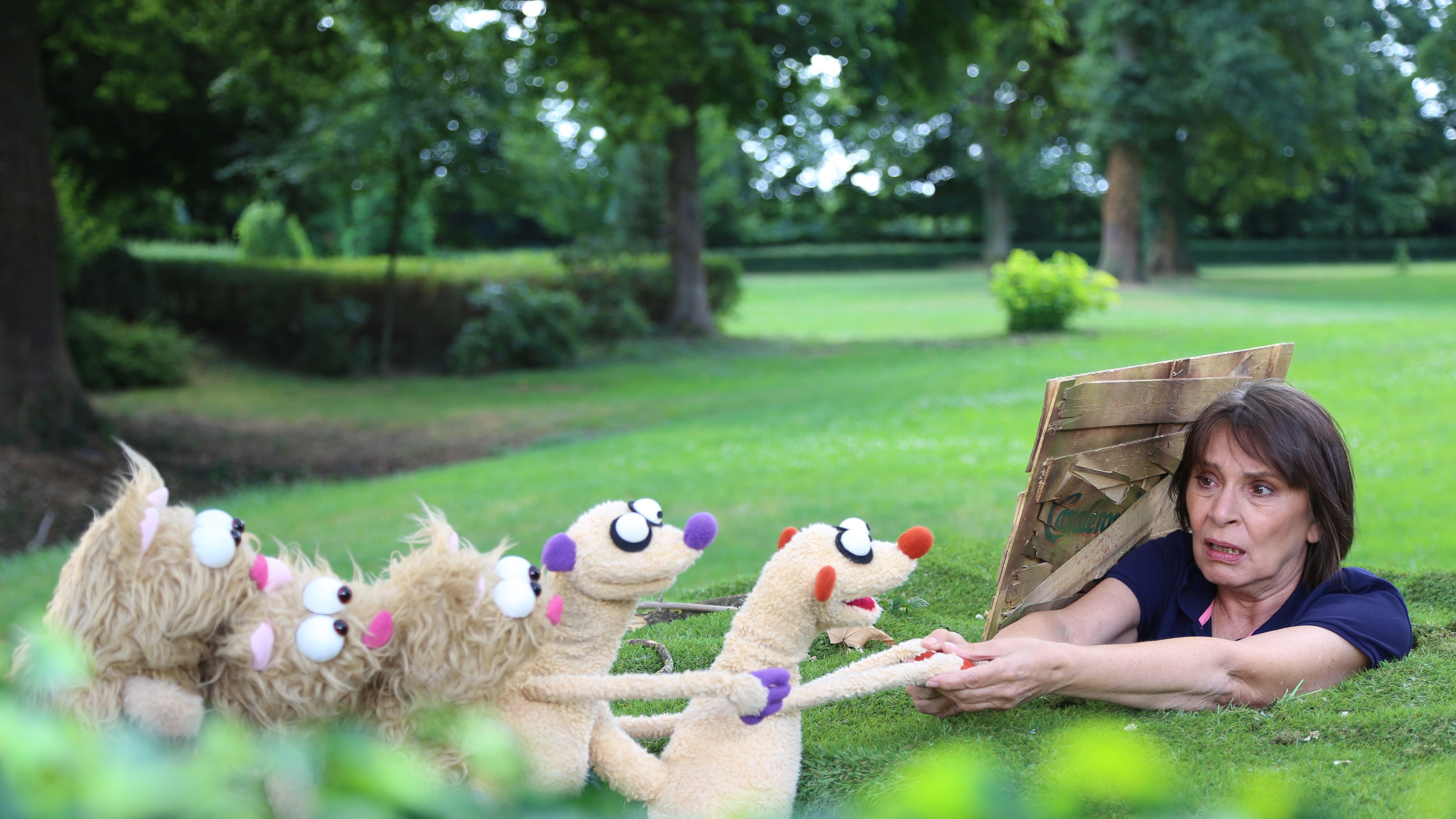 Ein Fall für die Erdmännchen