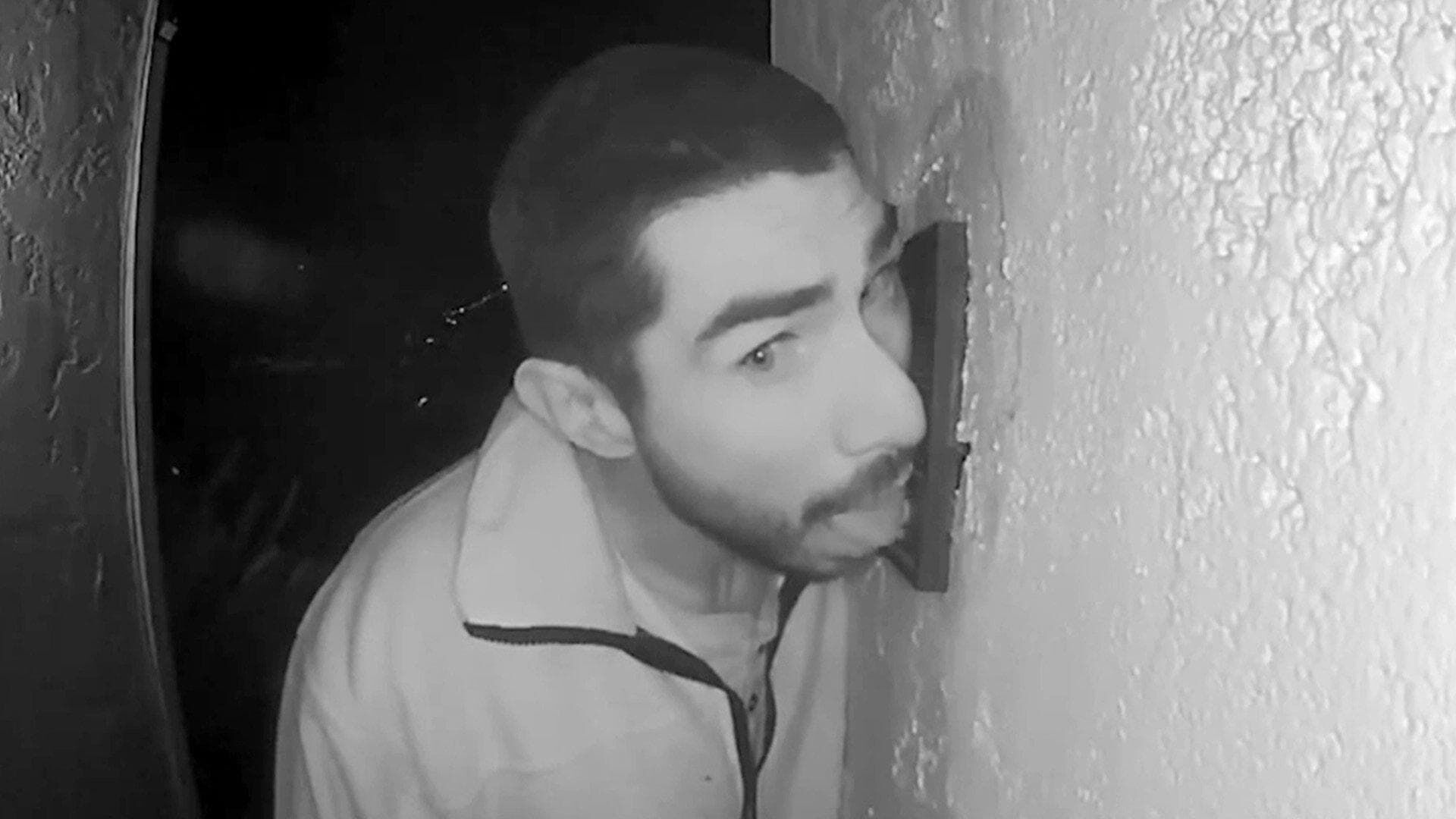 Verrückte Festnahmen