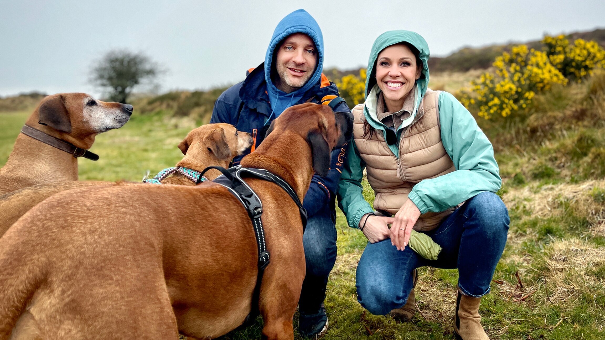 Jetzt oder nie – Spezial: Das Wiedersehen