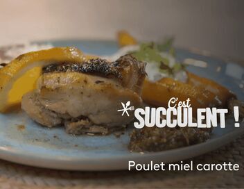 C'est succulent !