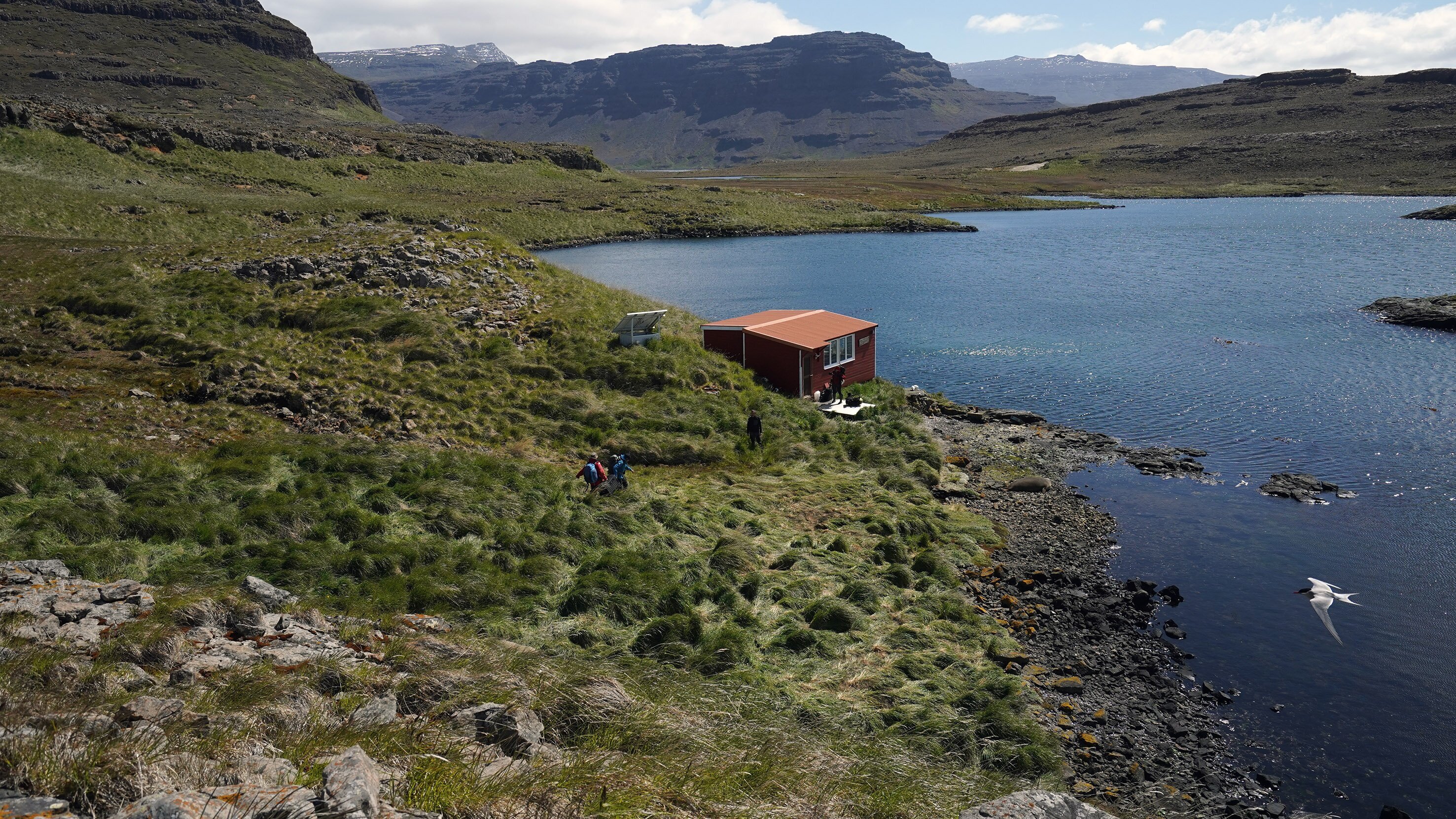 Die Kerguelen – Archipel am Ende der Welt