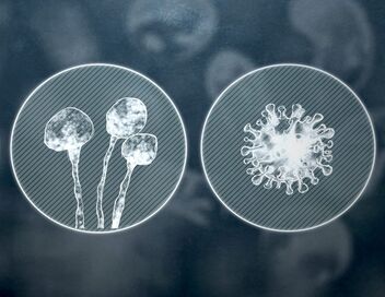 Les vrais maîtres de la Terre : Les microbes