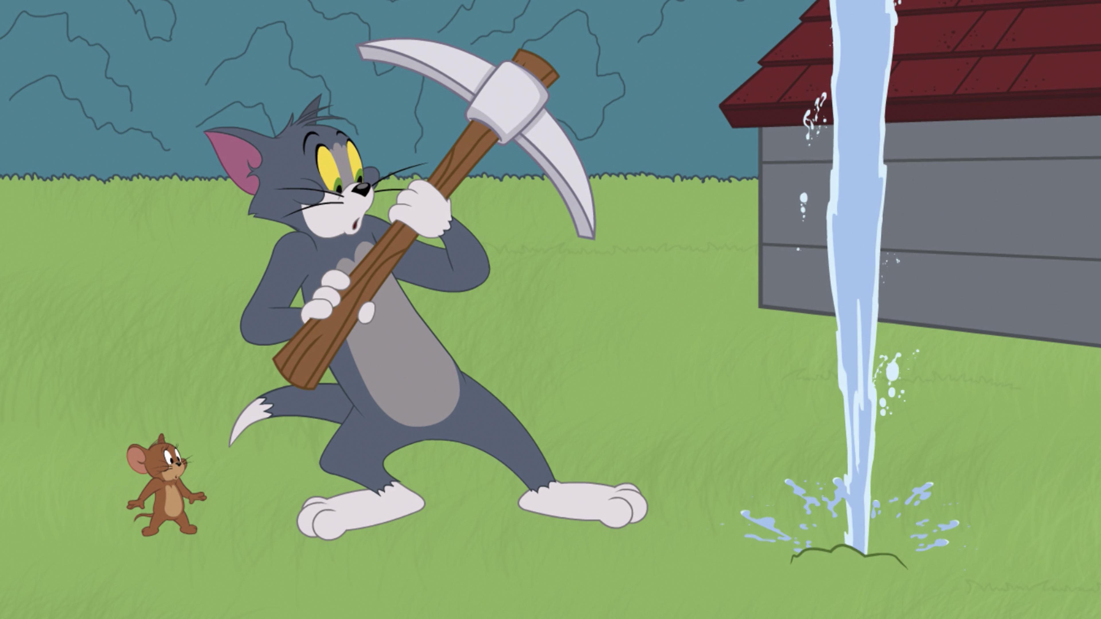 Die Tom und Jerry Show