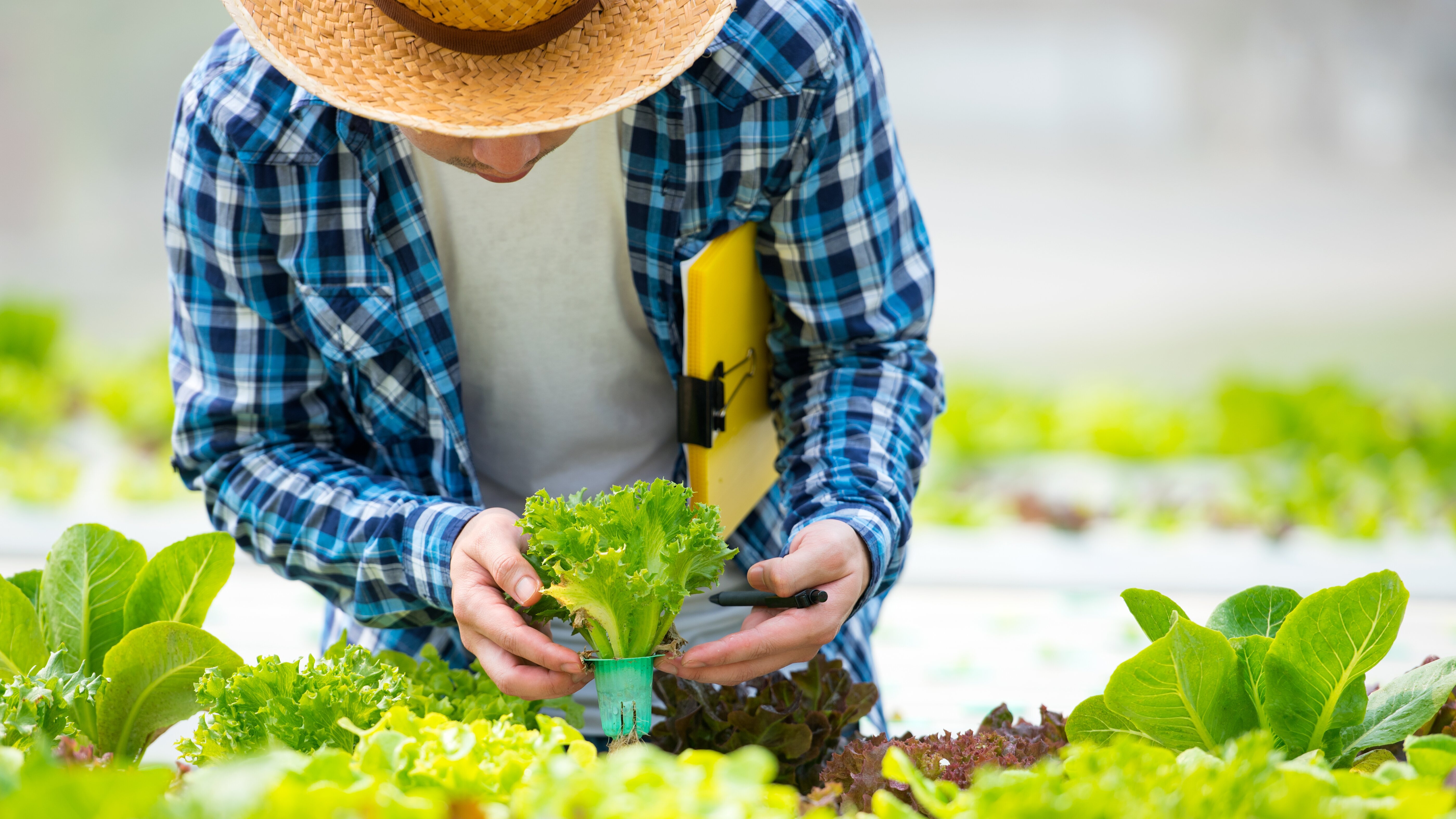 Lokalzeit LandSchafft