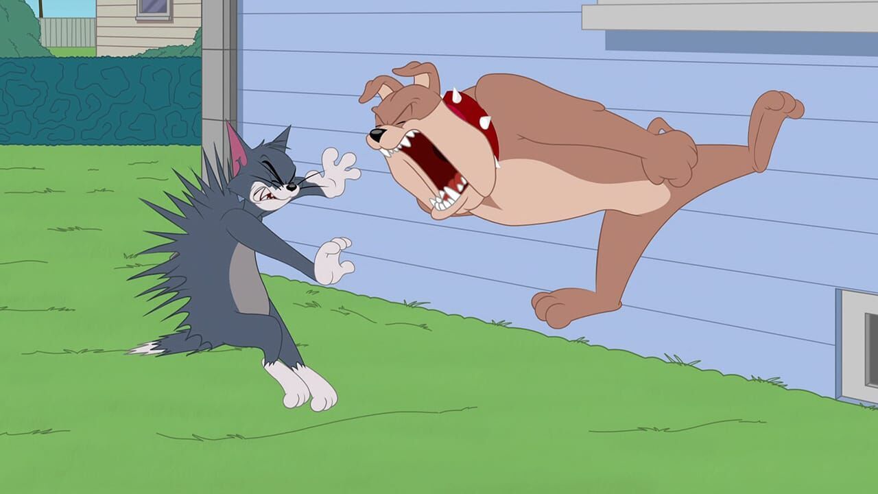 Die Tom und Jerry Show