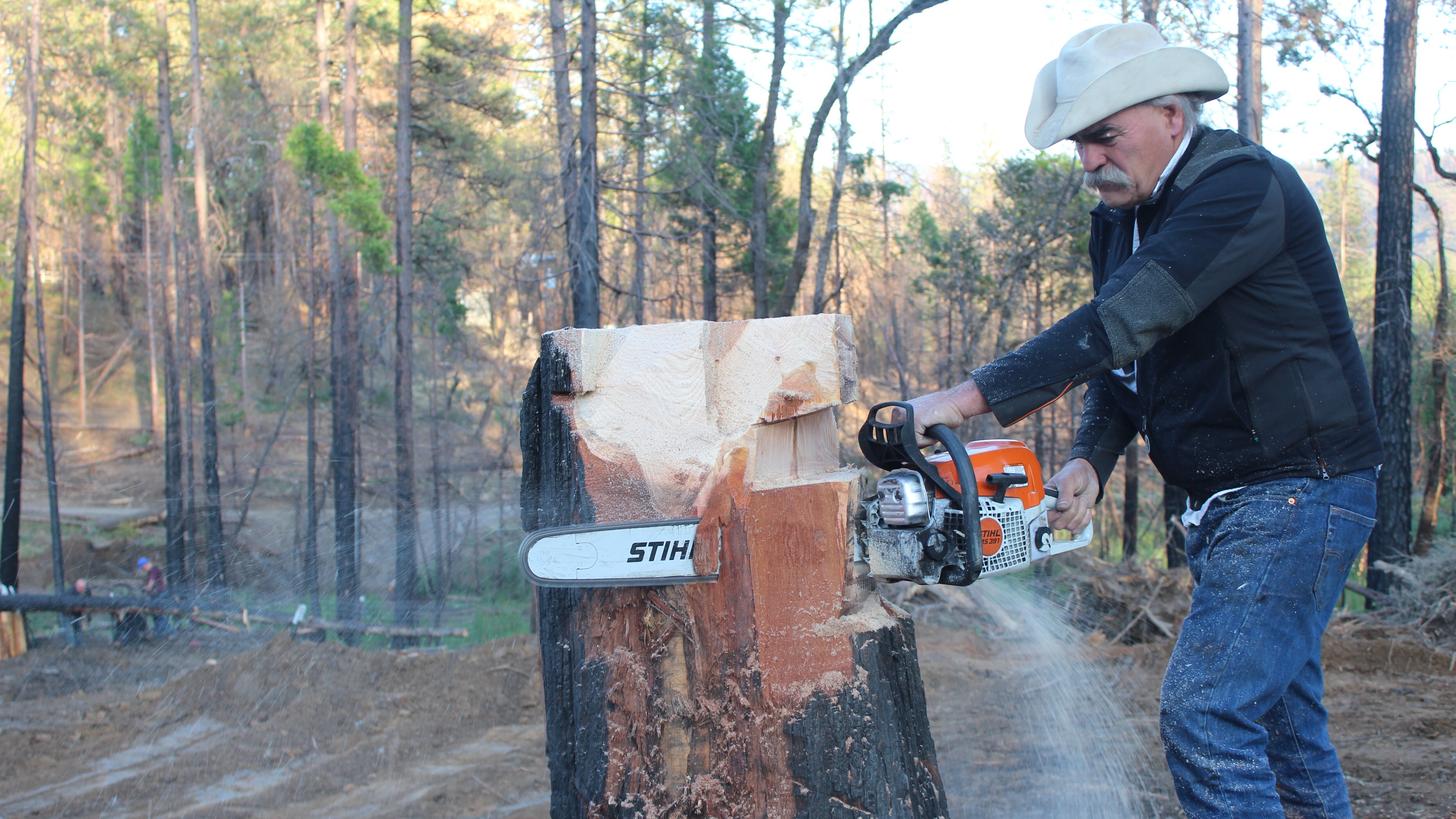 Home Rescue – Wohnen in der Wildnis