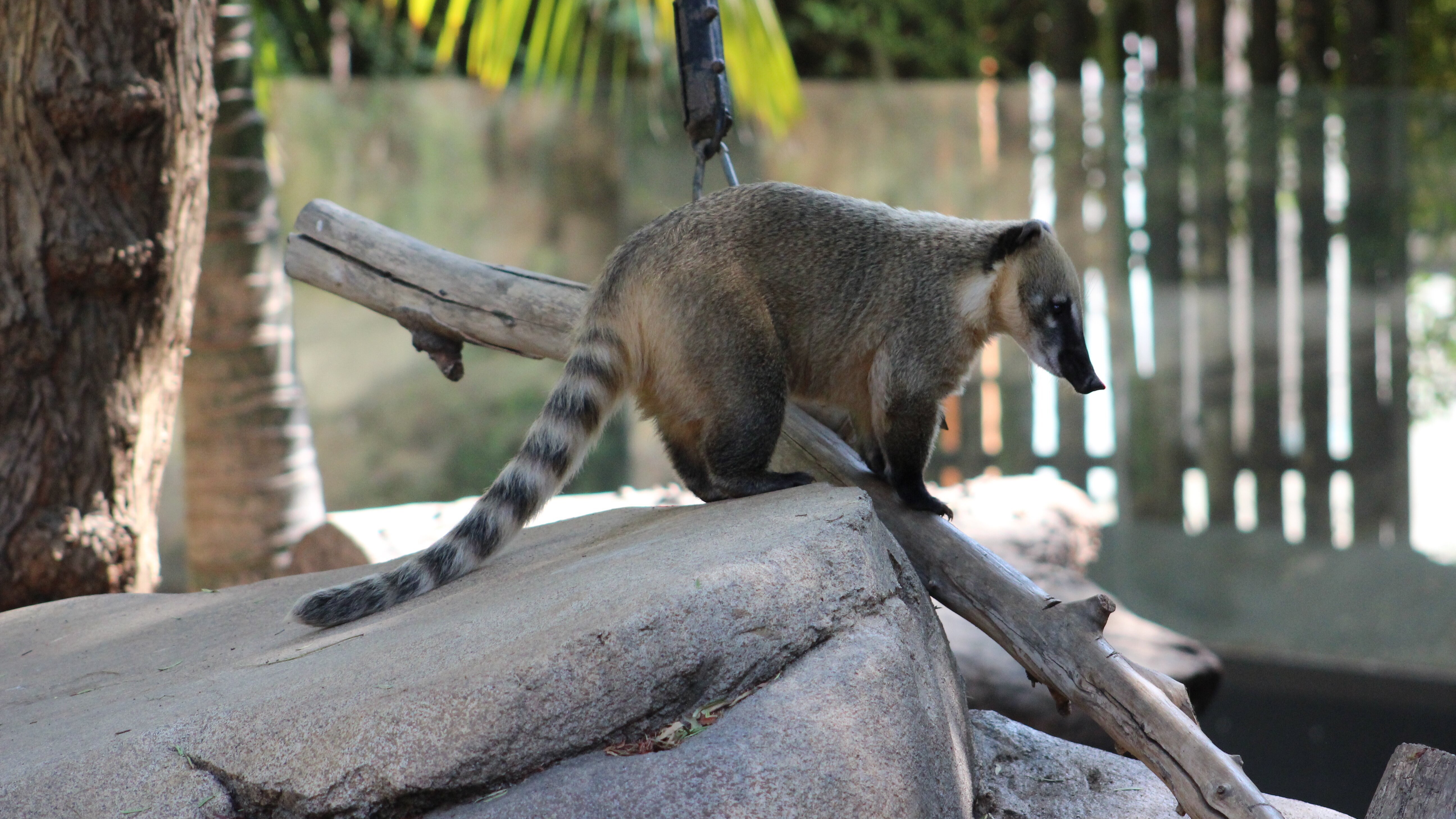 San Diego Zoo