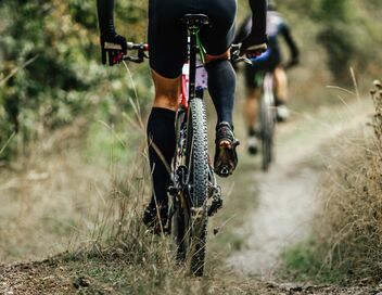 VTT : Coupe du monde de descente