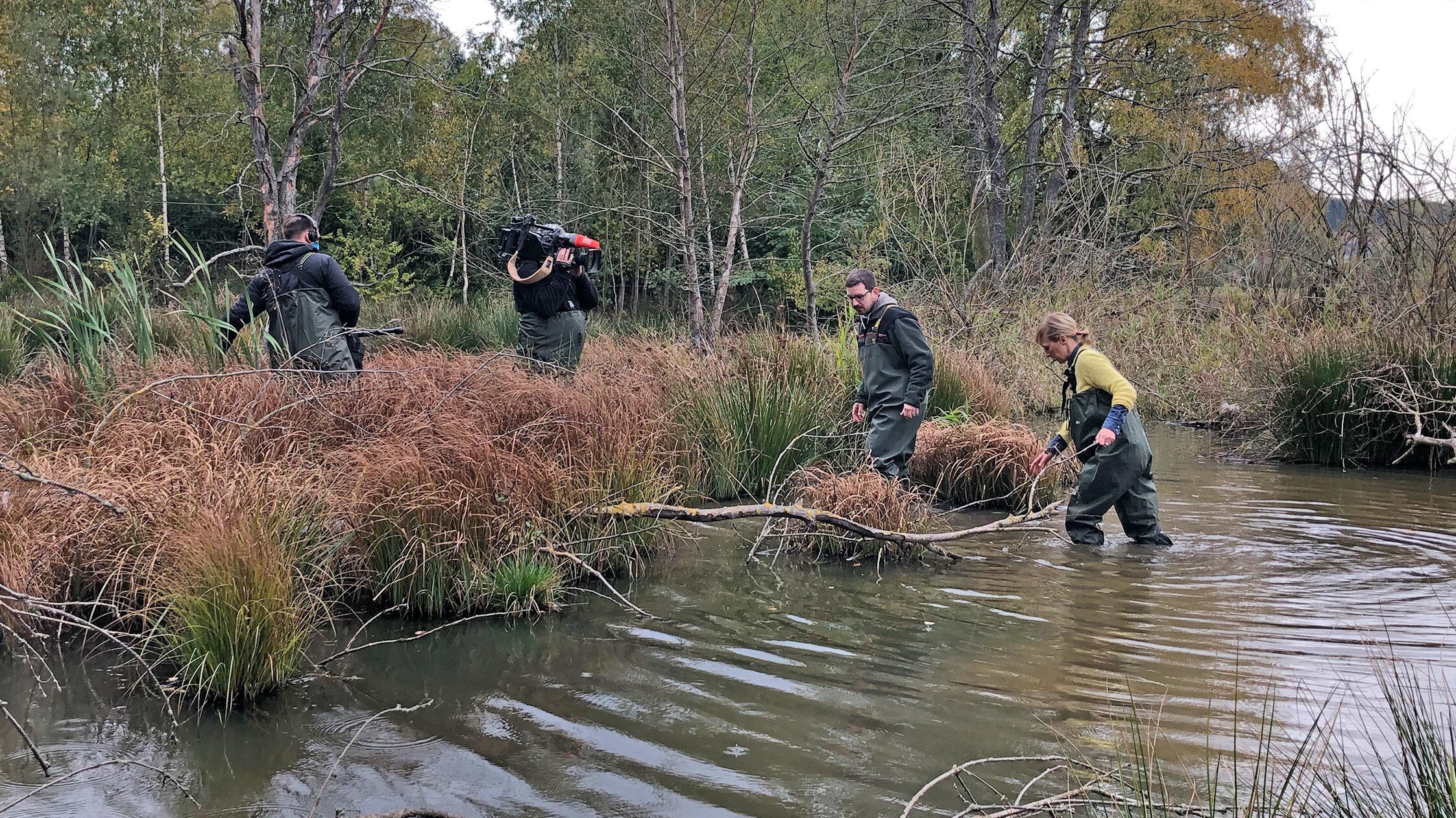 Expedition in die Heimat