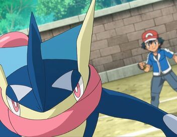 Pokémon : XY
