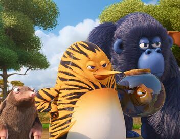 Les as de la jungle à la rescousse