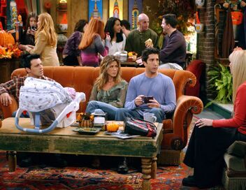 Friends
