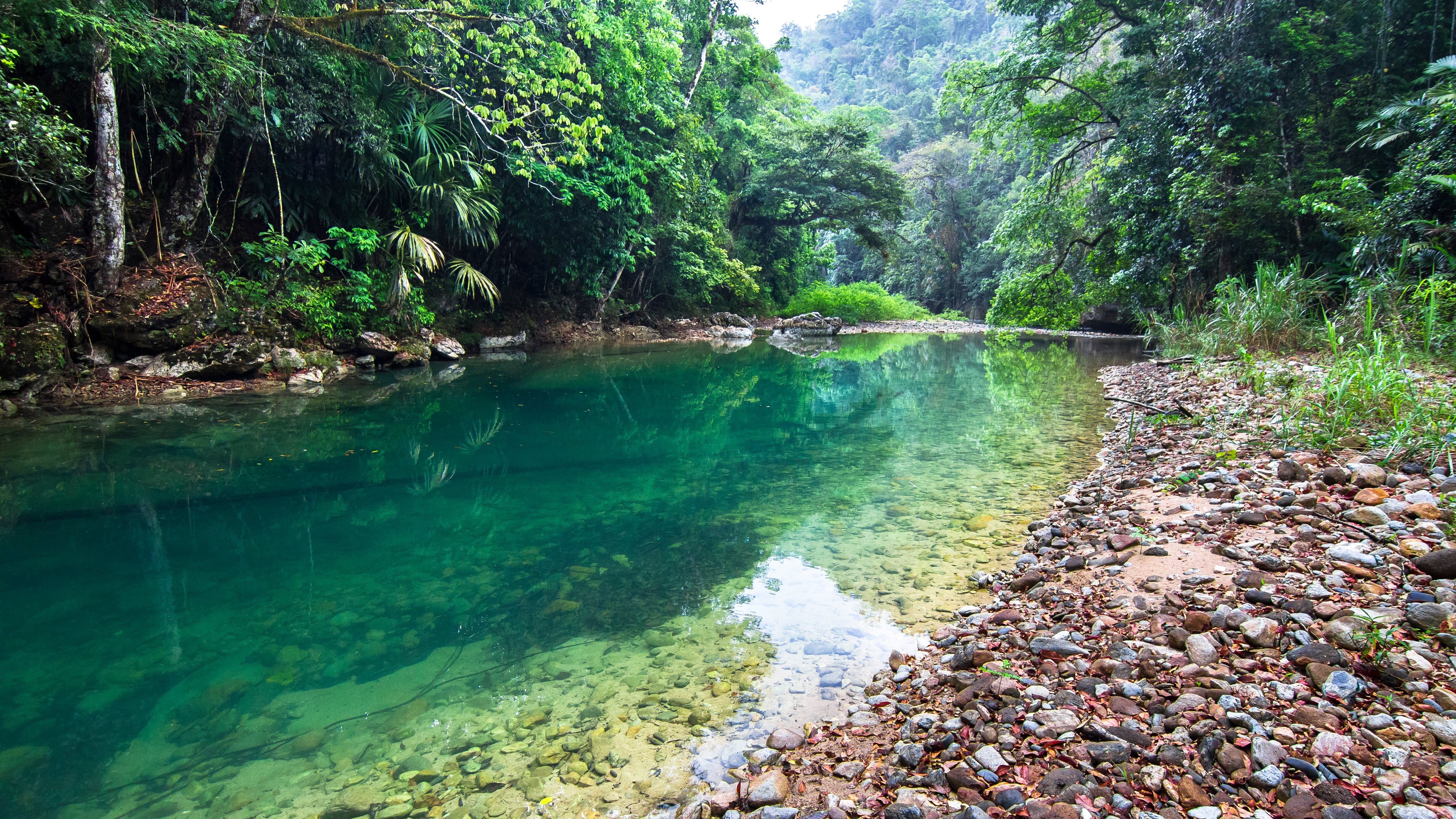 Ed Stafford: Into the Jungle