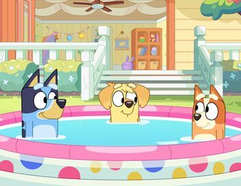 Bluey Minisodes