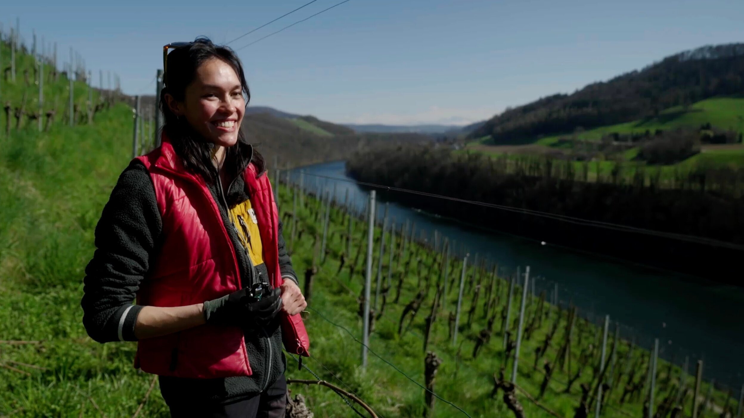 Wein am Rhein
