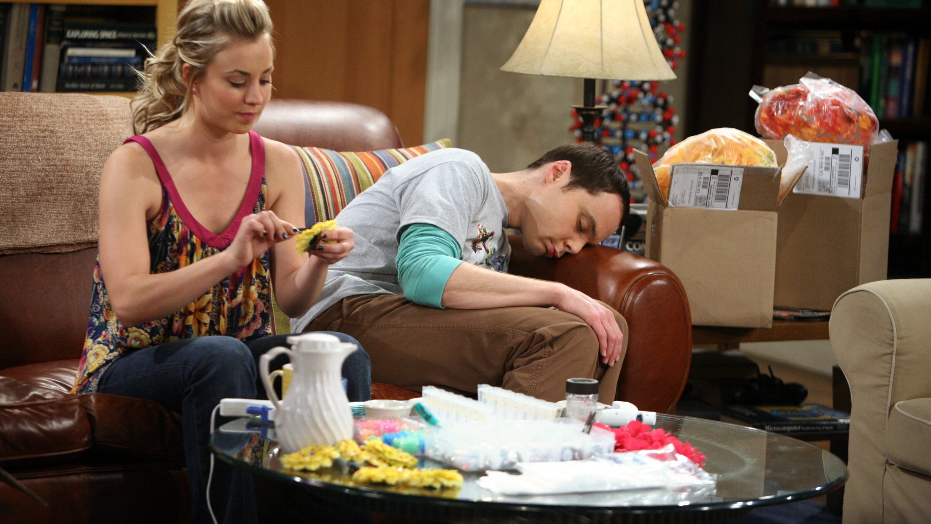 The Big Bang Theory