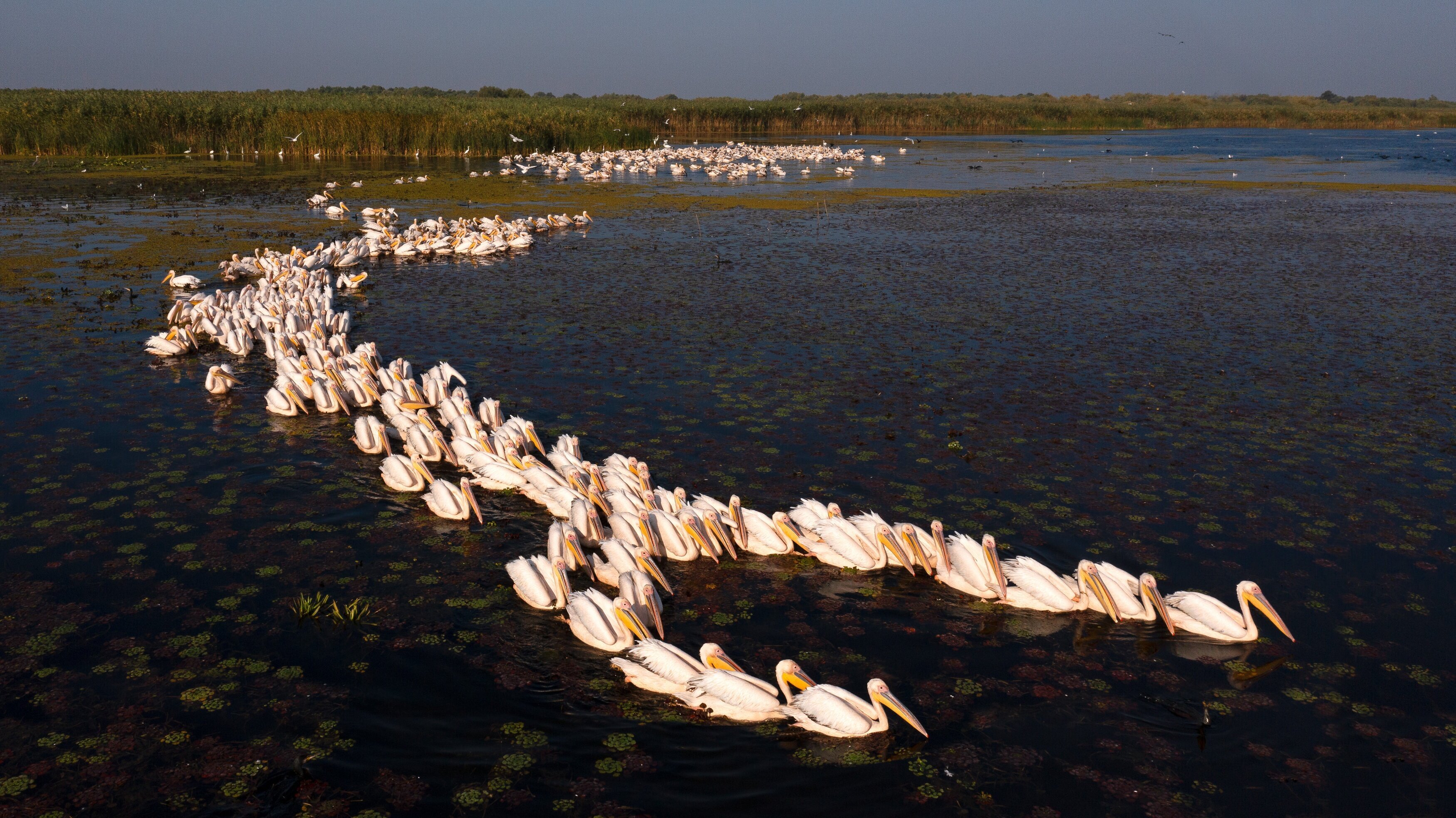 Das Donaudelta – Paradies am Schwarzen Meer