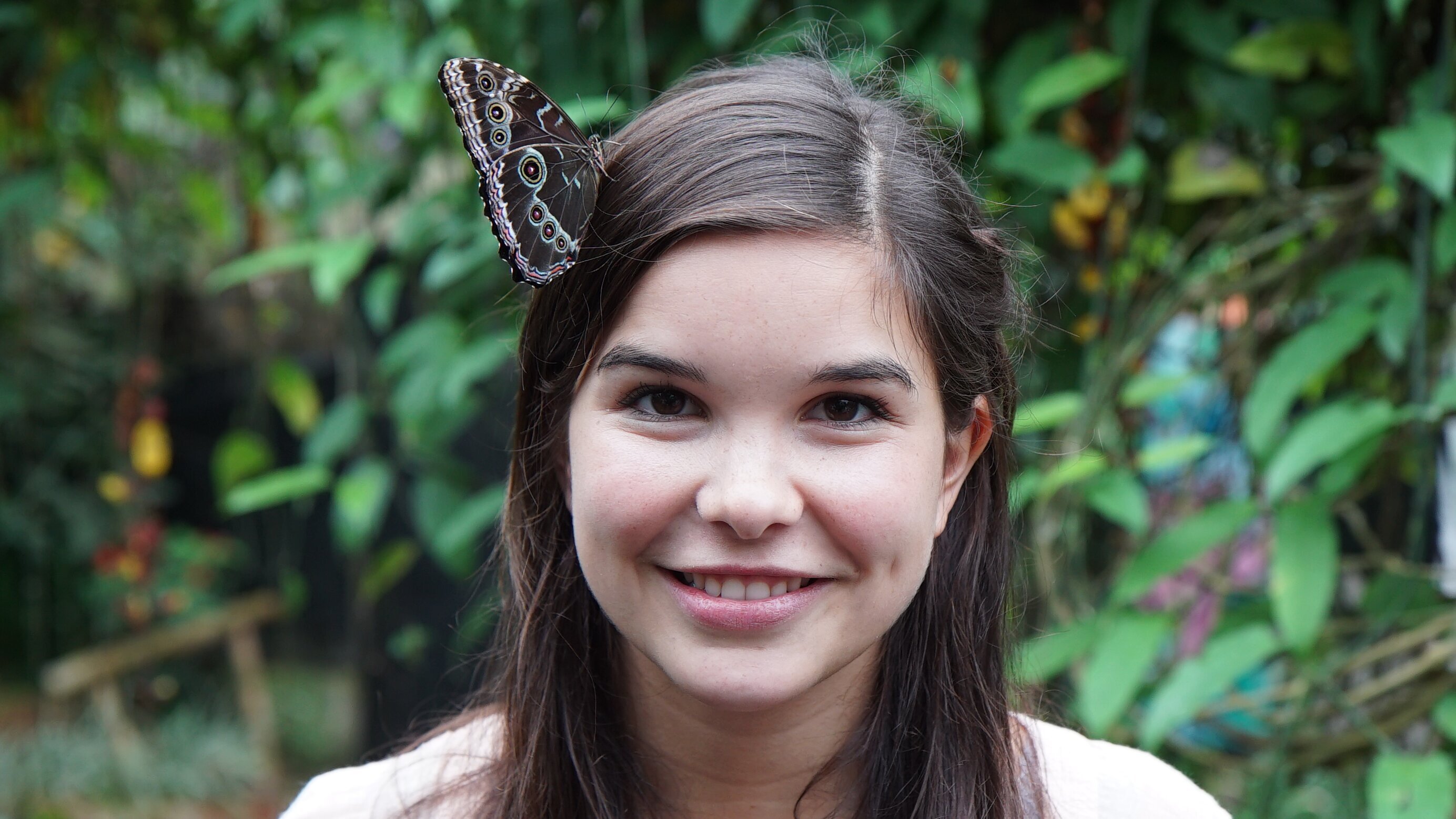 Anna und die wilden Tiere