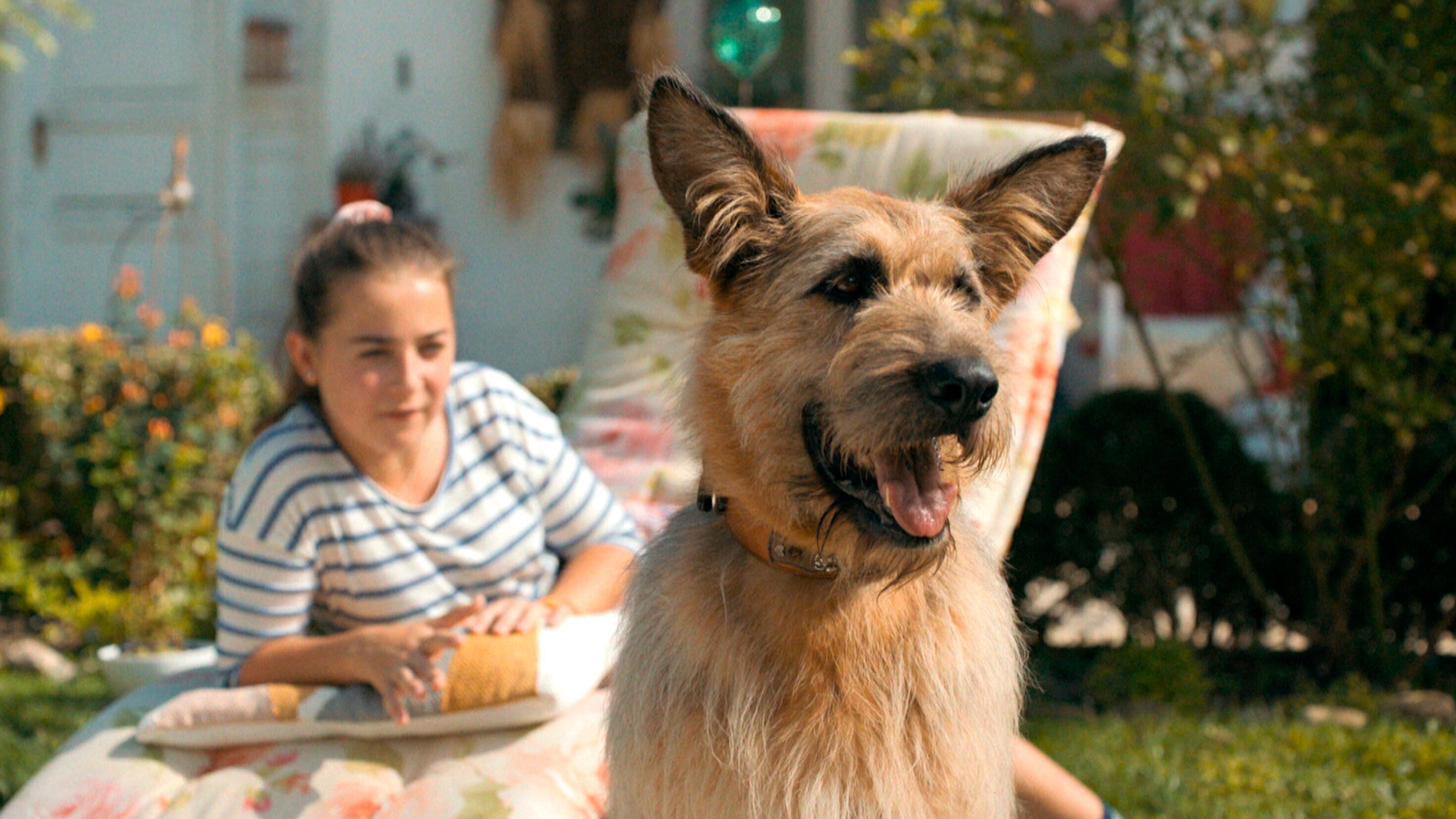 Racko – Ein Hund für alle Fälle