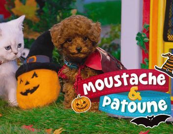 Moustache & Patoune