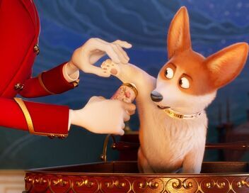 Royal Corgi