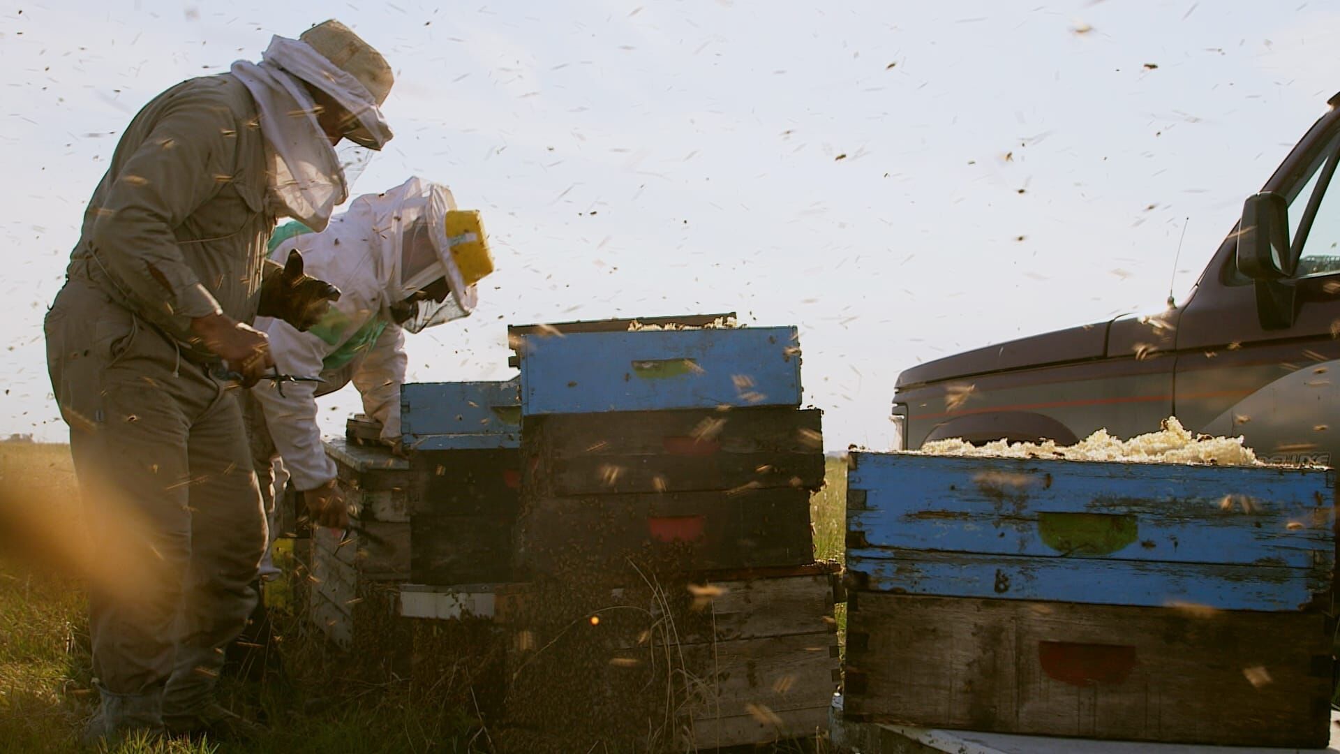 Die Bienenflüsterer
