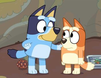 Bluey