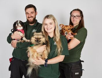 Dog House : un chien pour la vie