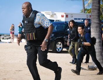 Hawaii 5-0