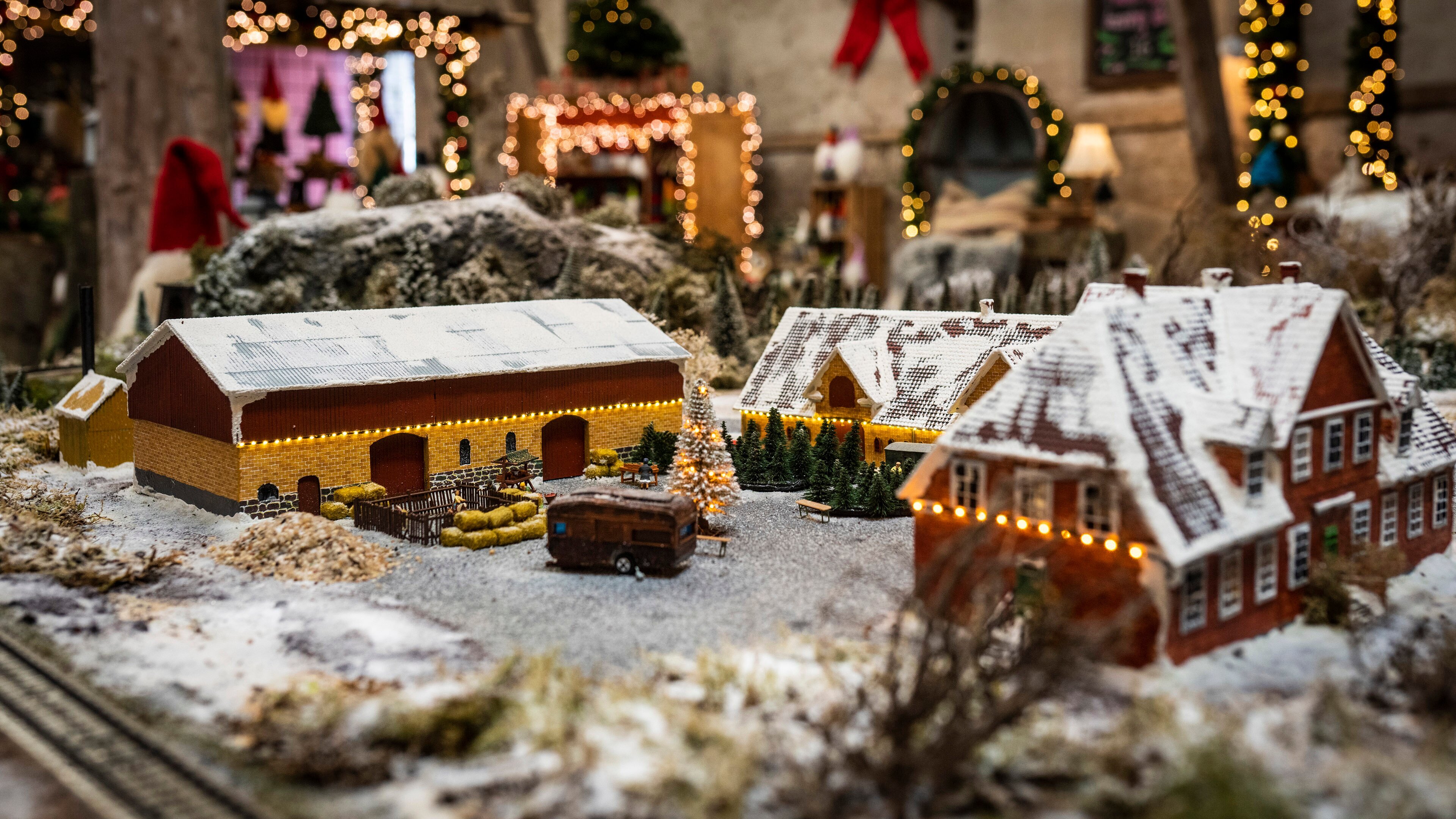 Der Wächter des Zauberwaldes